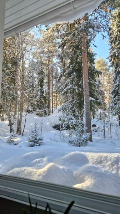 Coloria - kotisi Rovaniemellä, luonnollisesti