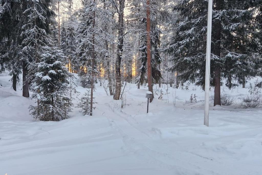 Coloria - kotisi Rovaniemellä, luonnollisesti