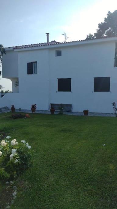 Pearl superior villa in Elani Halkidiki