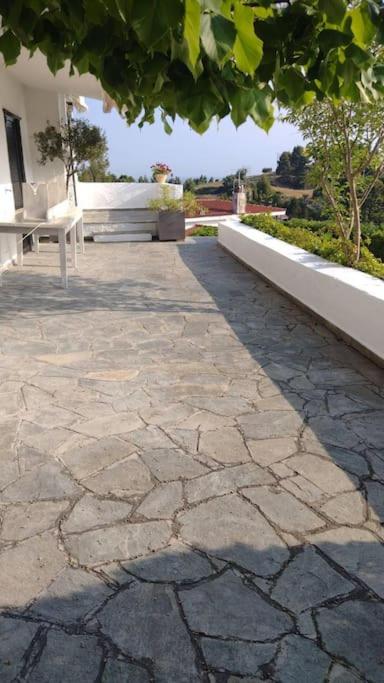 Pearl superior villa in Elani Halkidiki