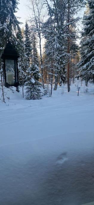 Coloria - kotisi Rovaniemellä, luonnollisesti