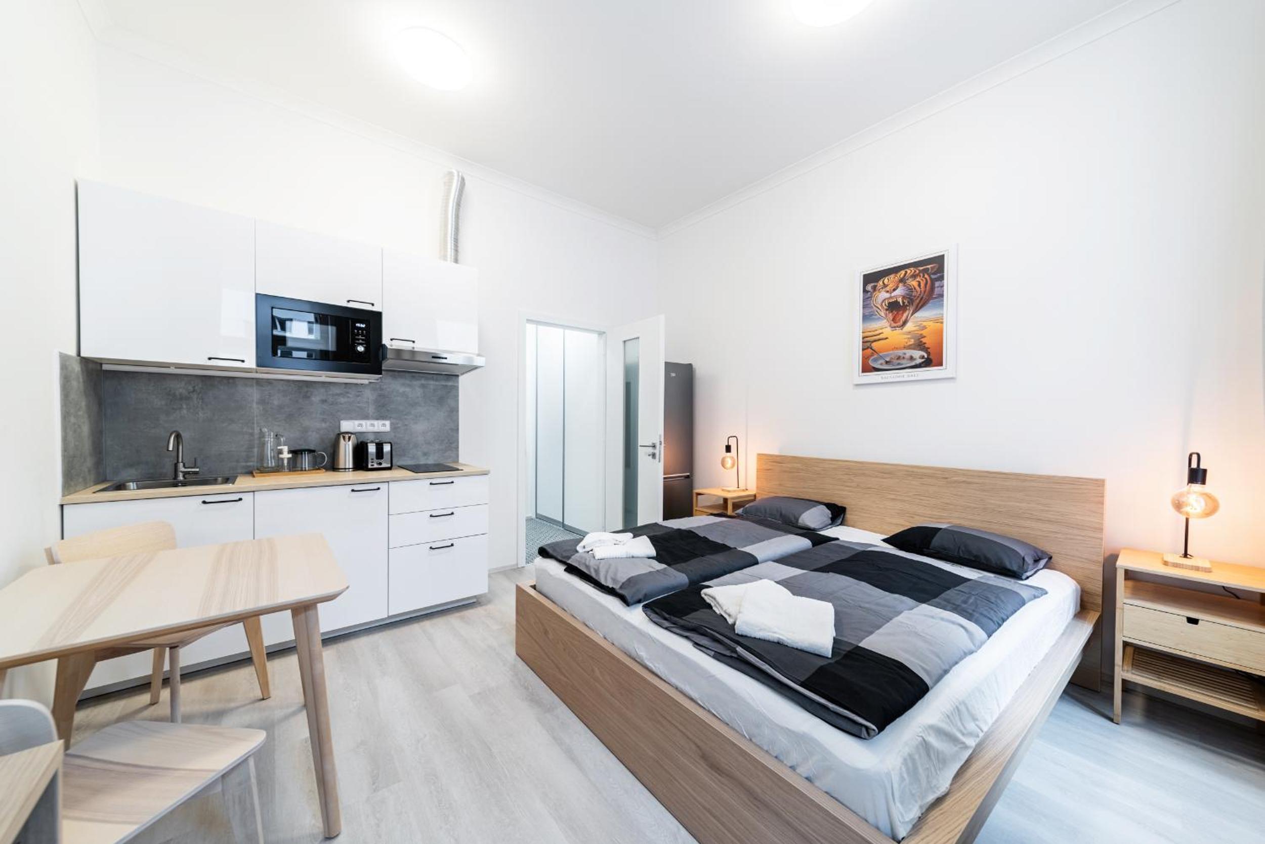 Apartments Borivojova 63