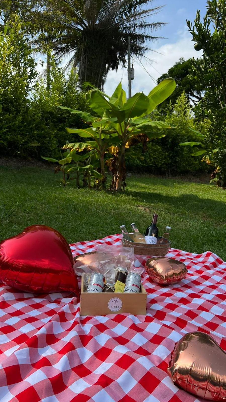 Glamping La Montañita