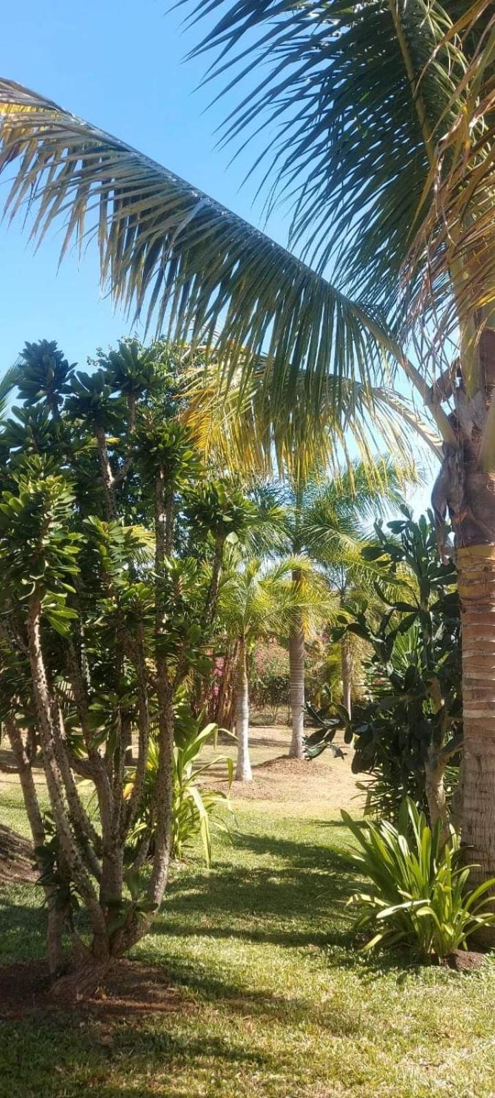 Mar y Montaña