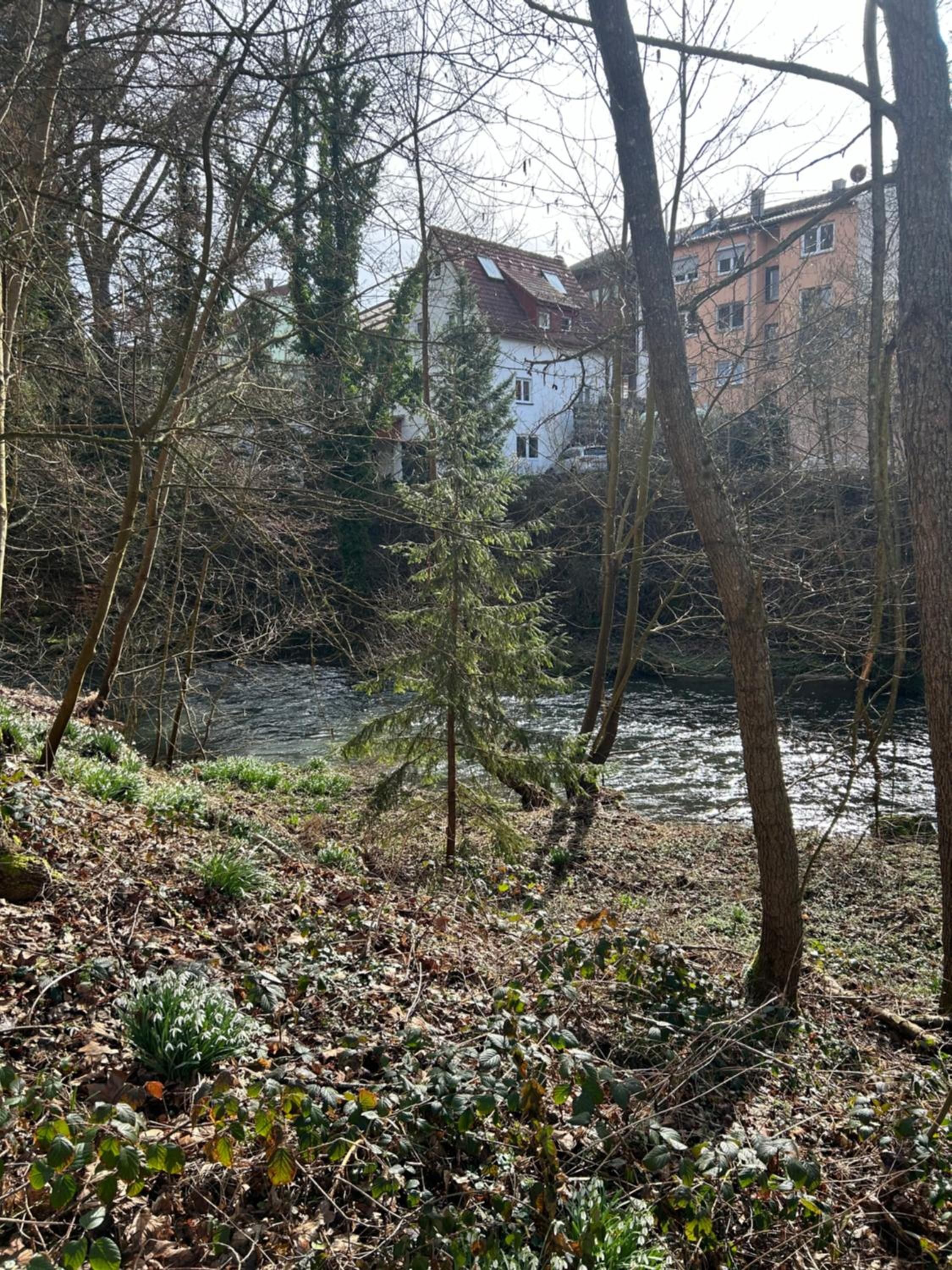 Ferienhaus im Schwarzwald
