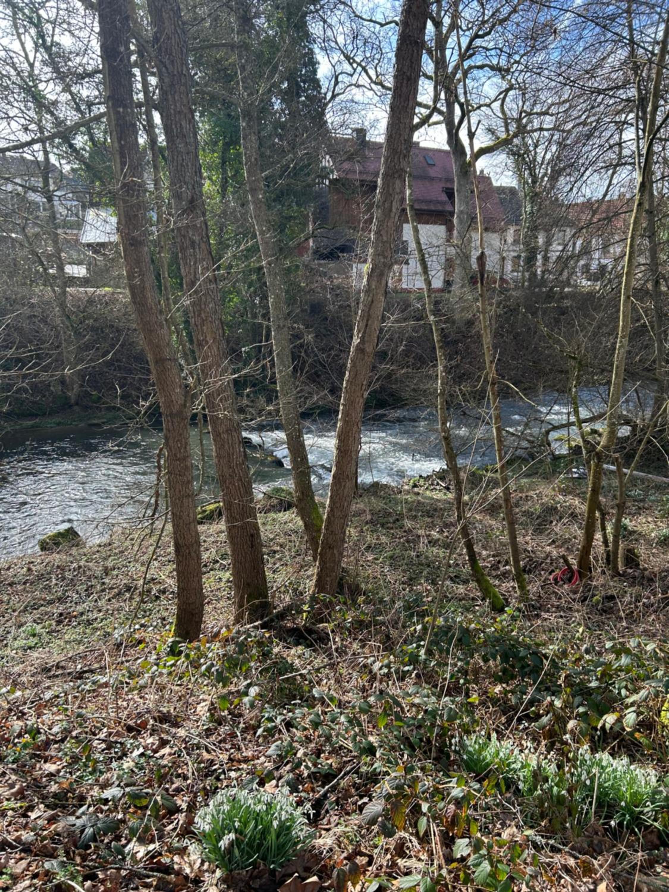Ferienhaus im Schwarzwald