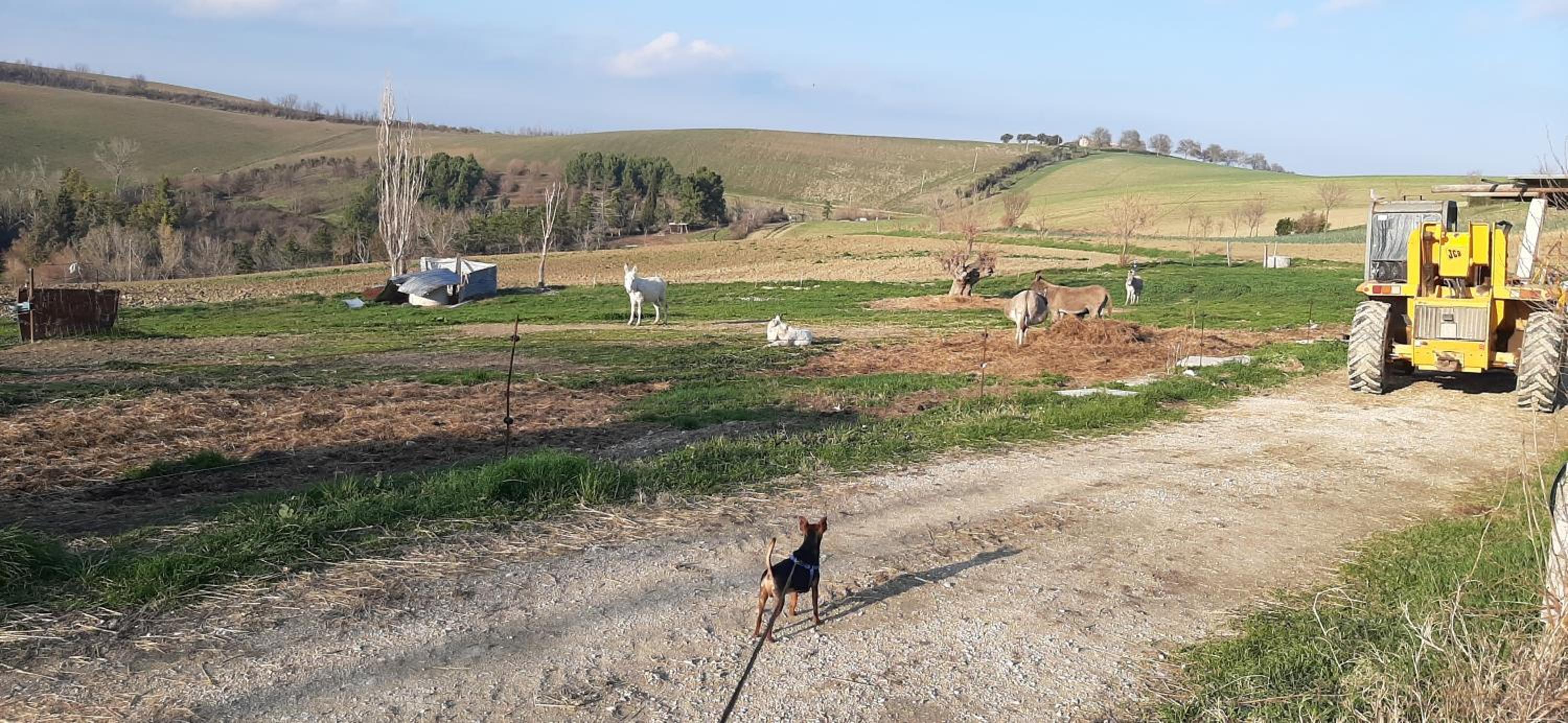 Agriturismo Casale Gambacane