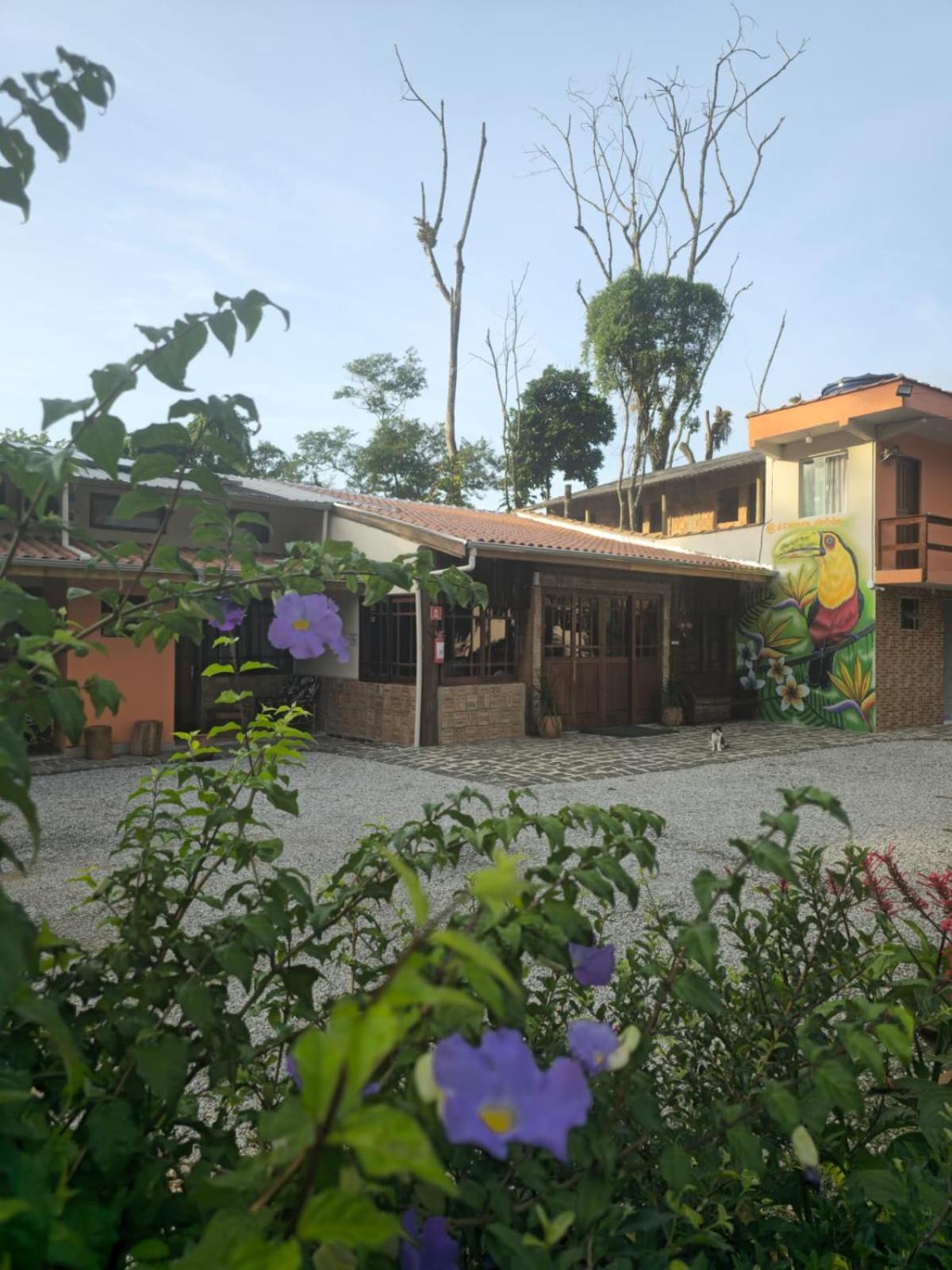 Pousada Dona Carmem Ubatuba