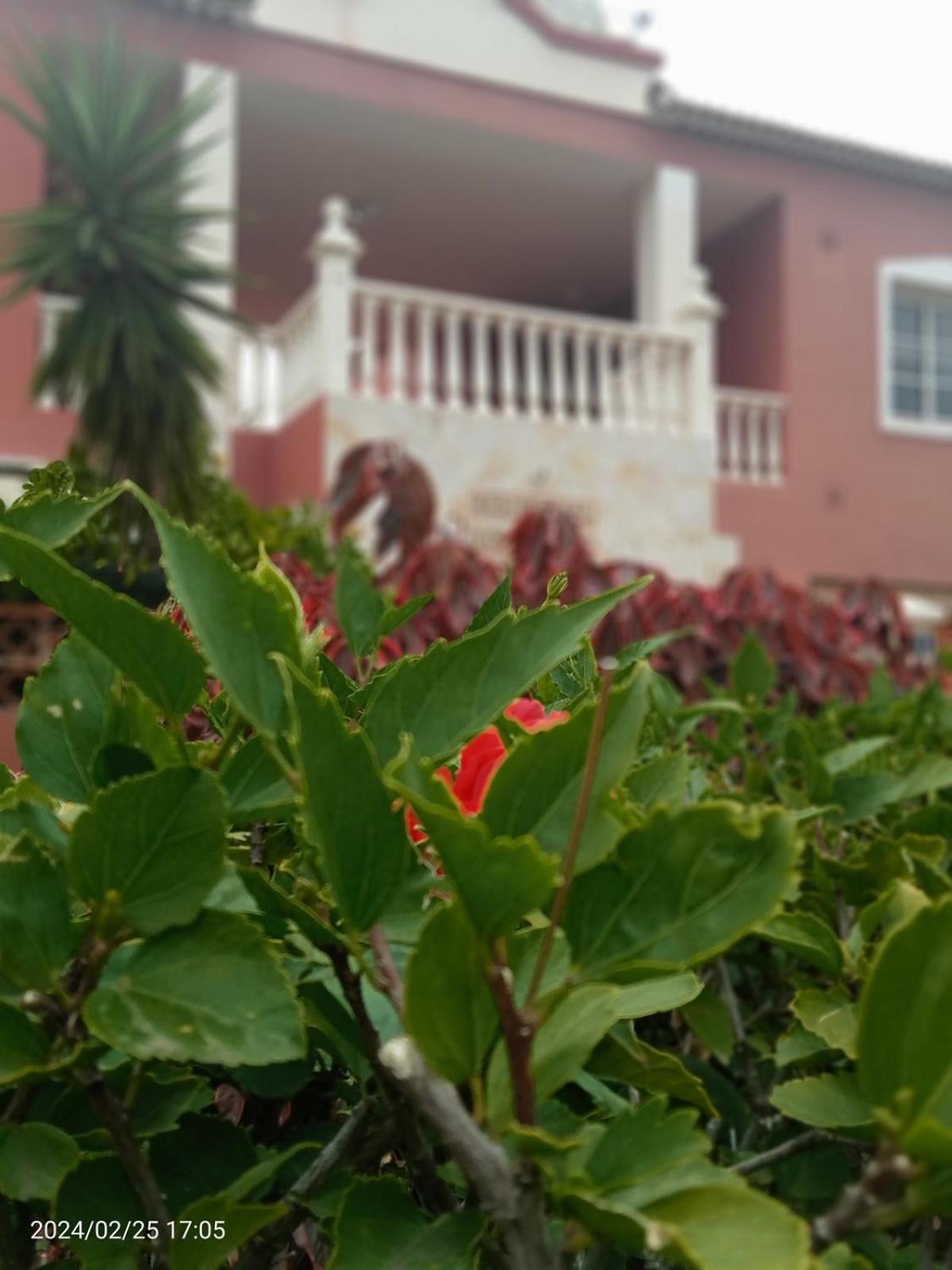 Beatifull apartament Sea View in pto Cruz