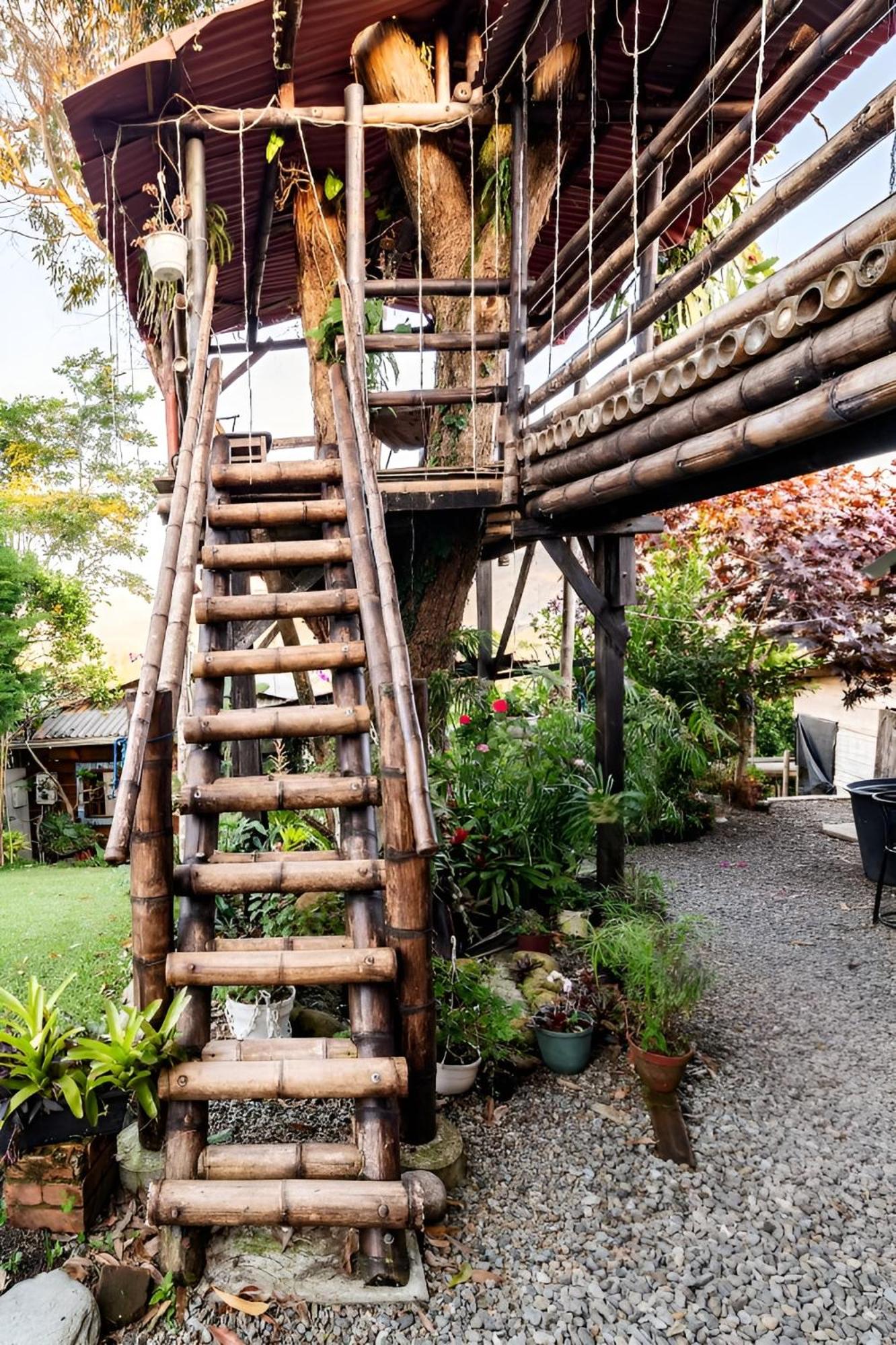 Pachamama