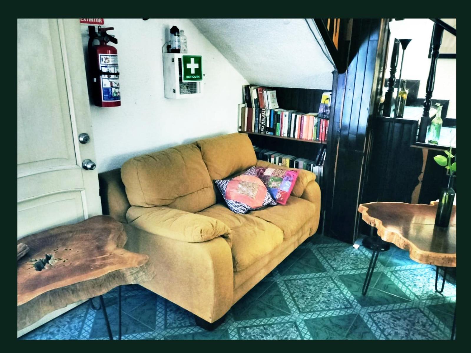 Photo 7