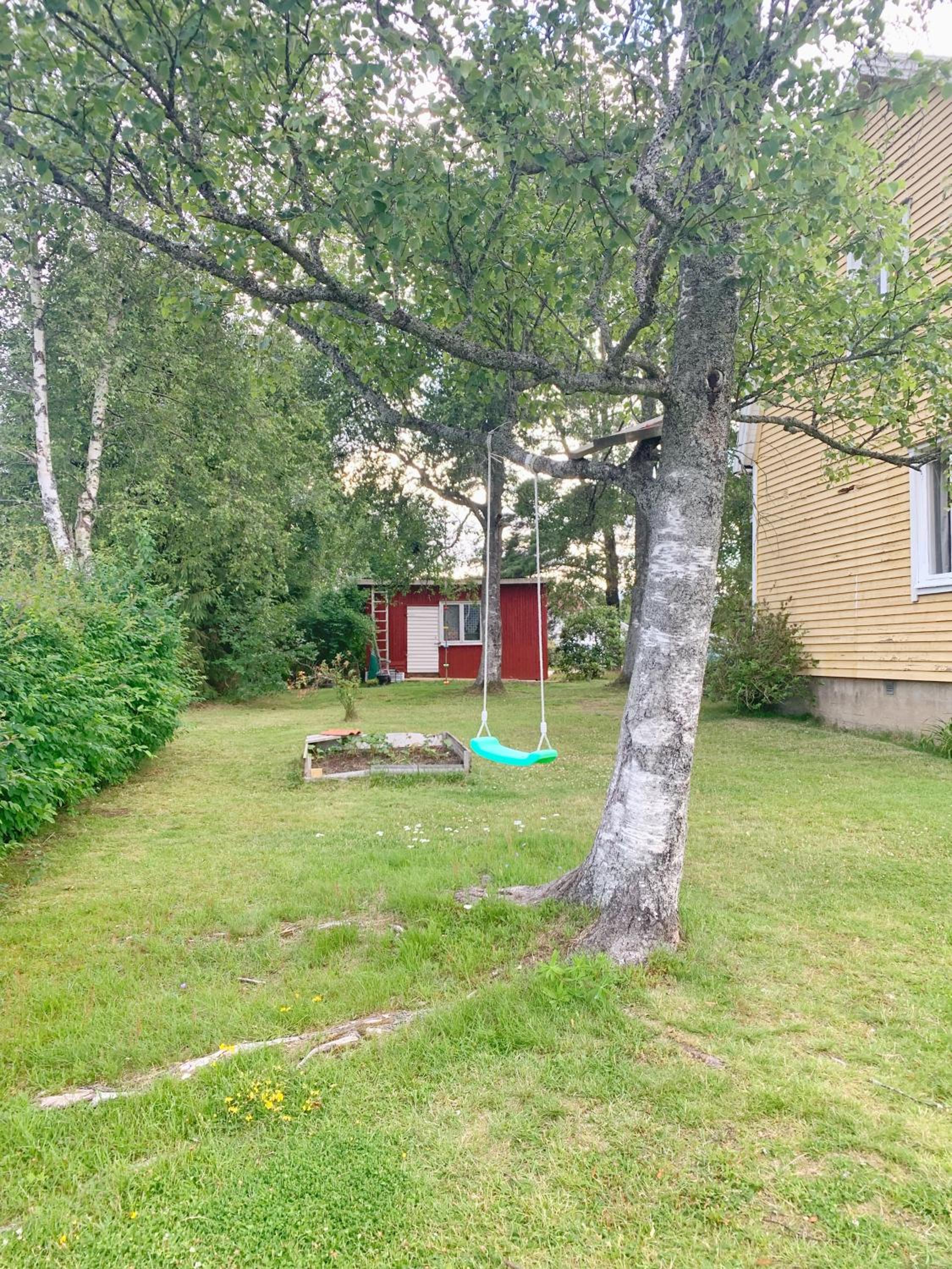 Photo 37