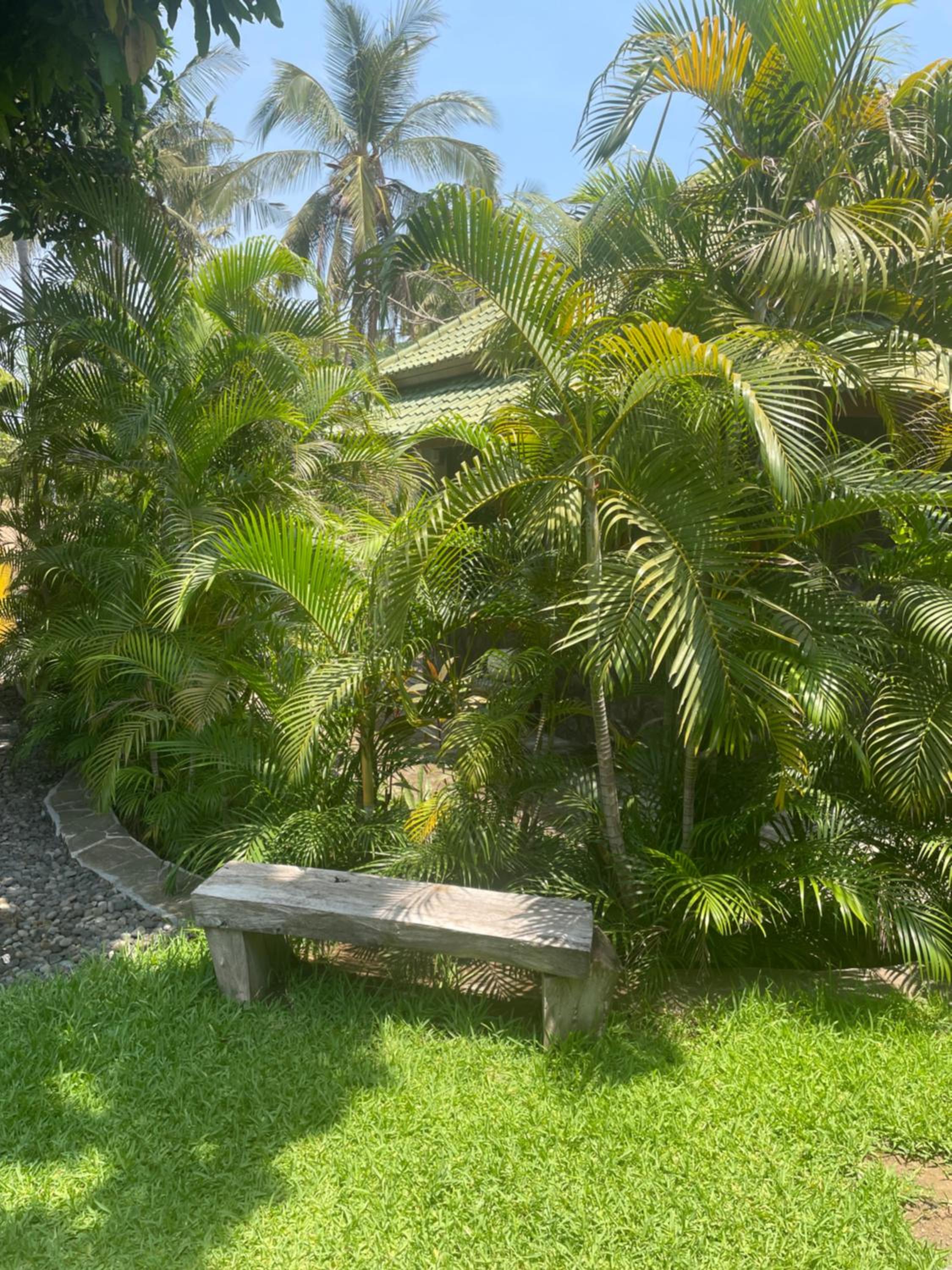 Absolute Beachfront Paradise Villa sleeps 6 with Private Pool on 1200m2 of Tropical Land view 5