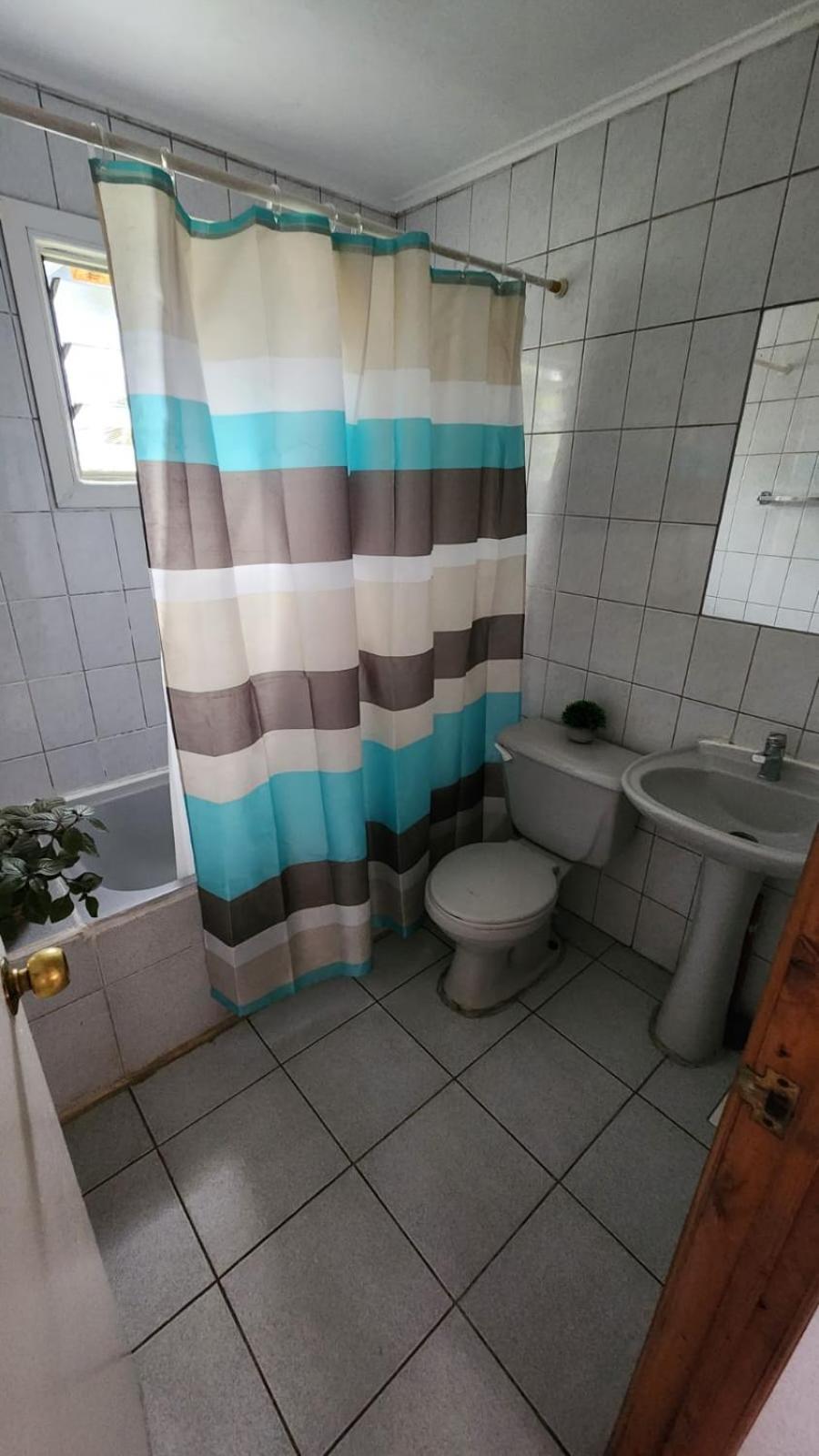 Cabañas Tronco viejo