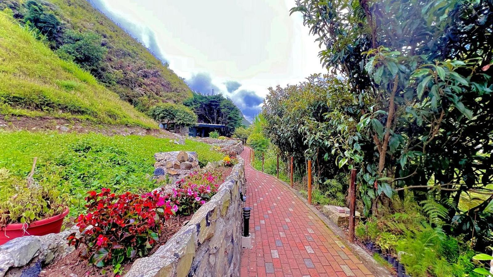 BAÑOS GLAMPING LEONORÈ
