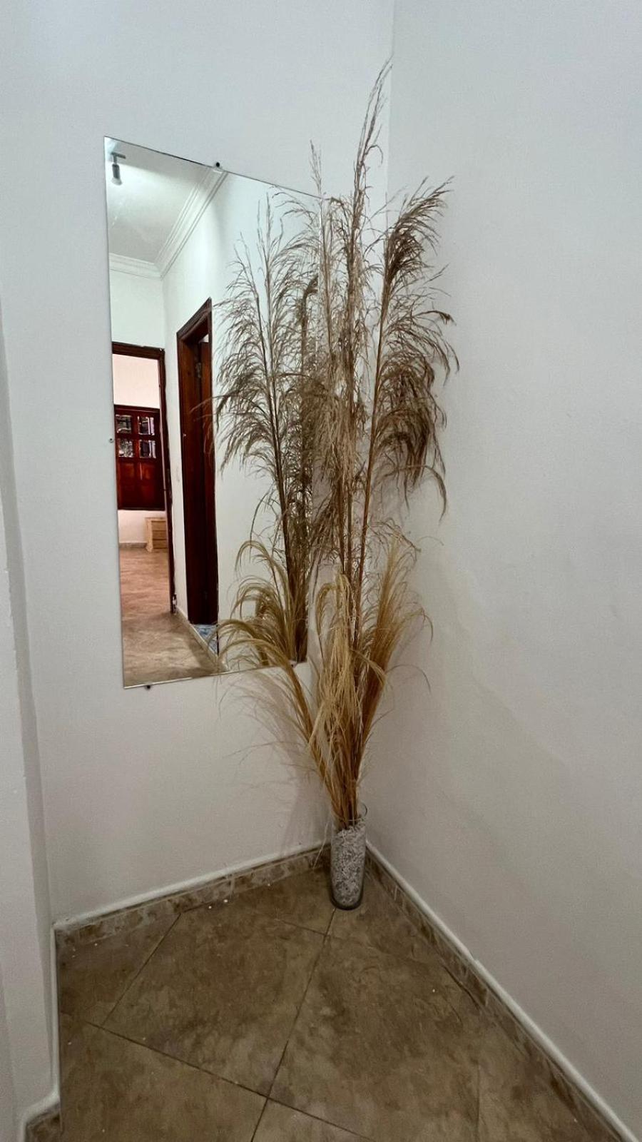 LIVE APARTMENTS Cartagena