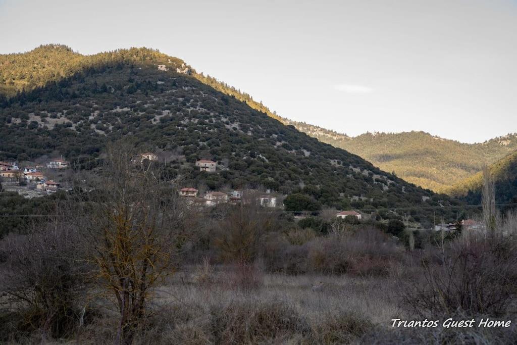 Triantos Guesthome Suite
