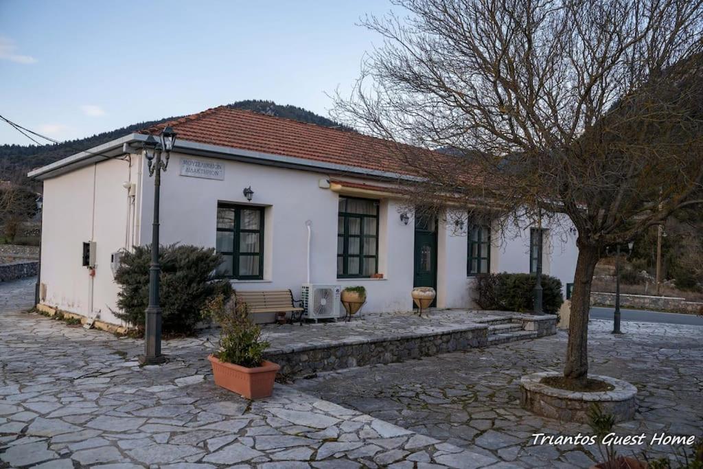Triantos Guesthome Suite