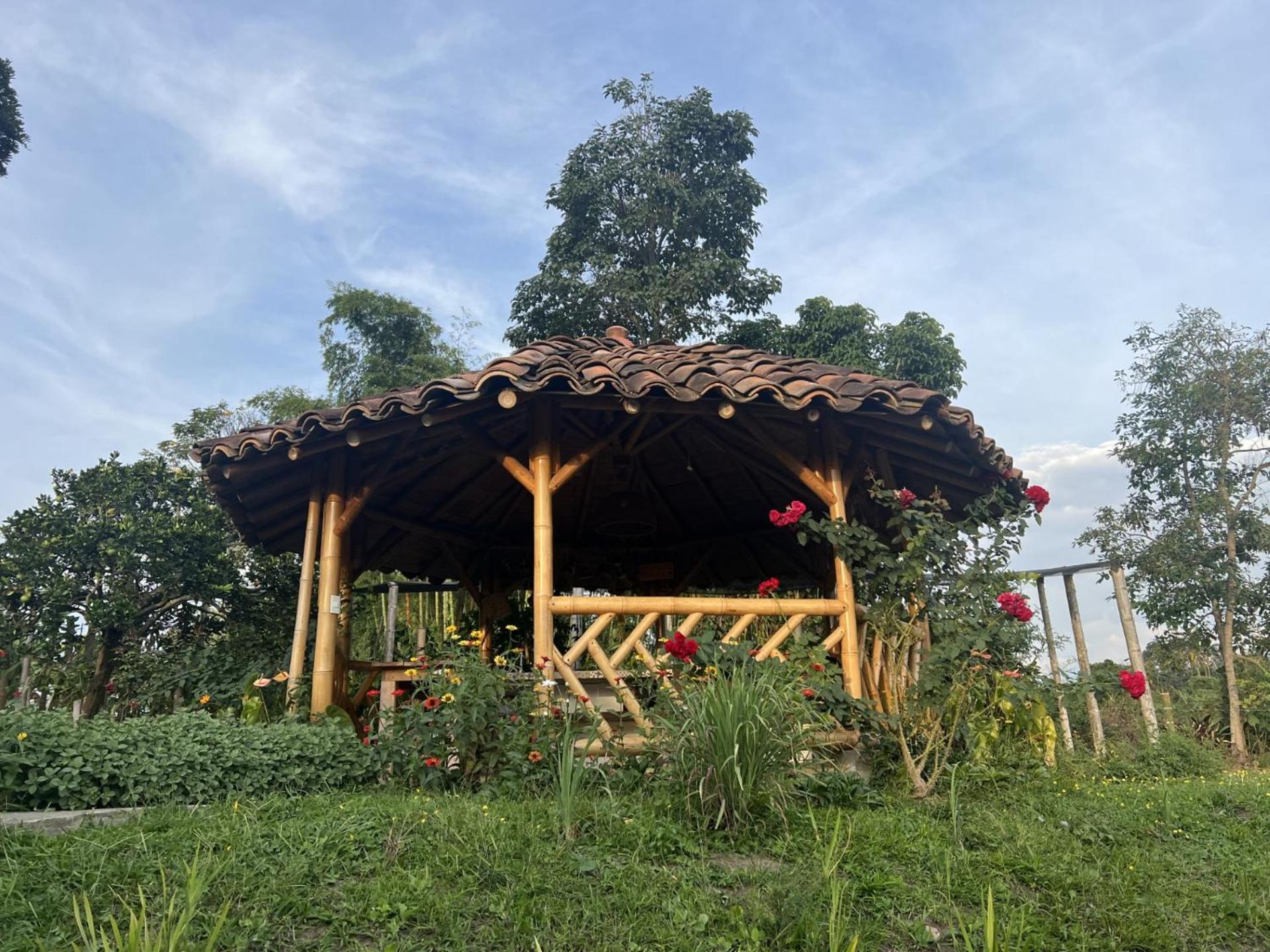 Finca Cafetera Madrigal - Café Sortiz
