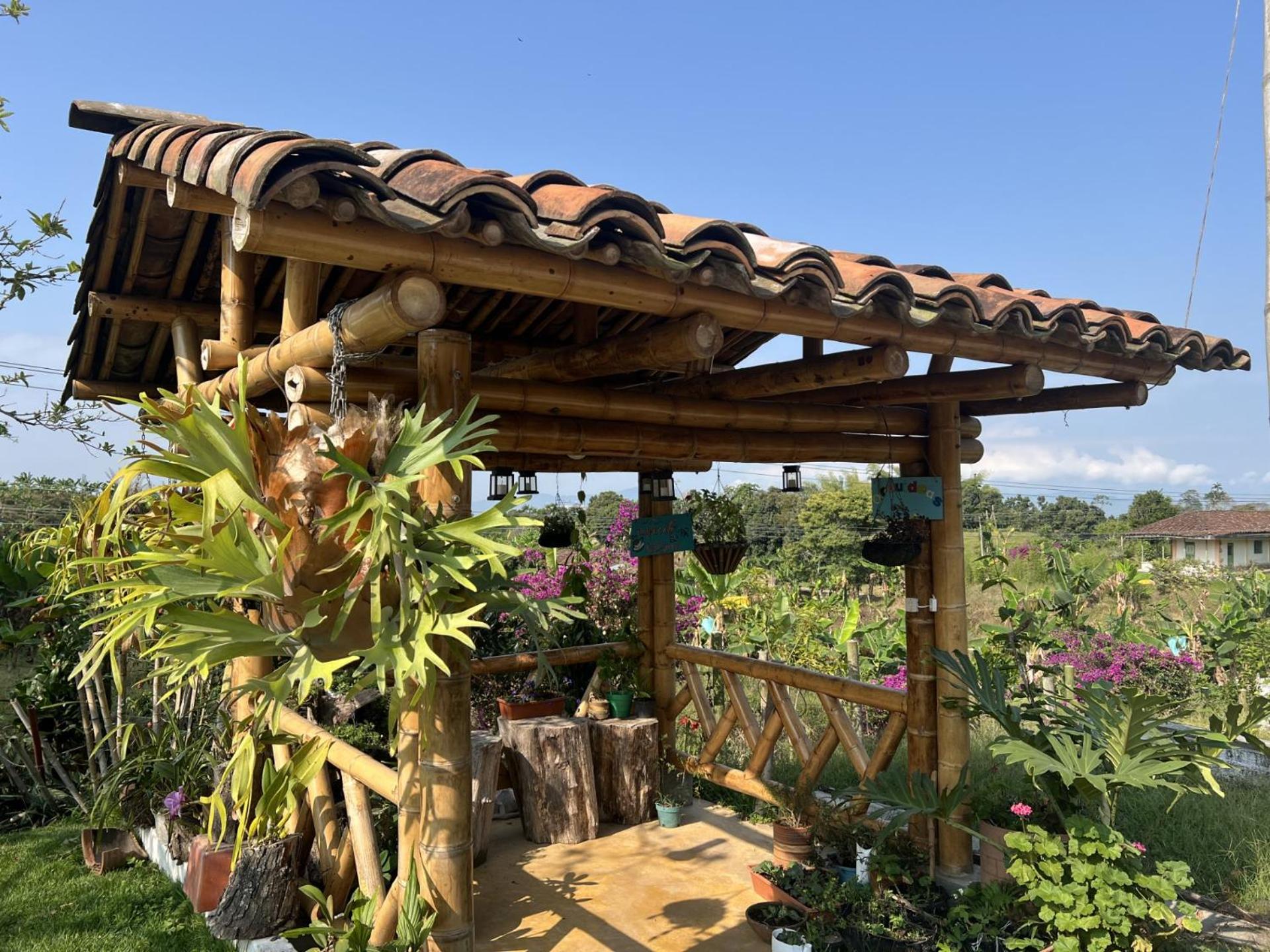 Finca Cafetera Madrigal - Café Sortiz