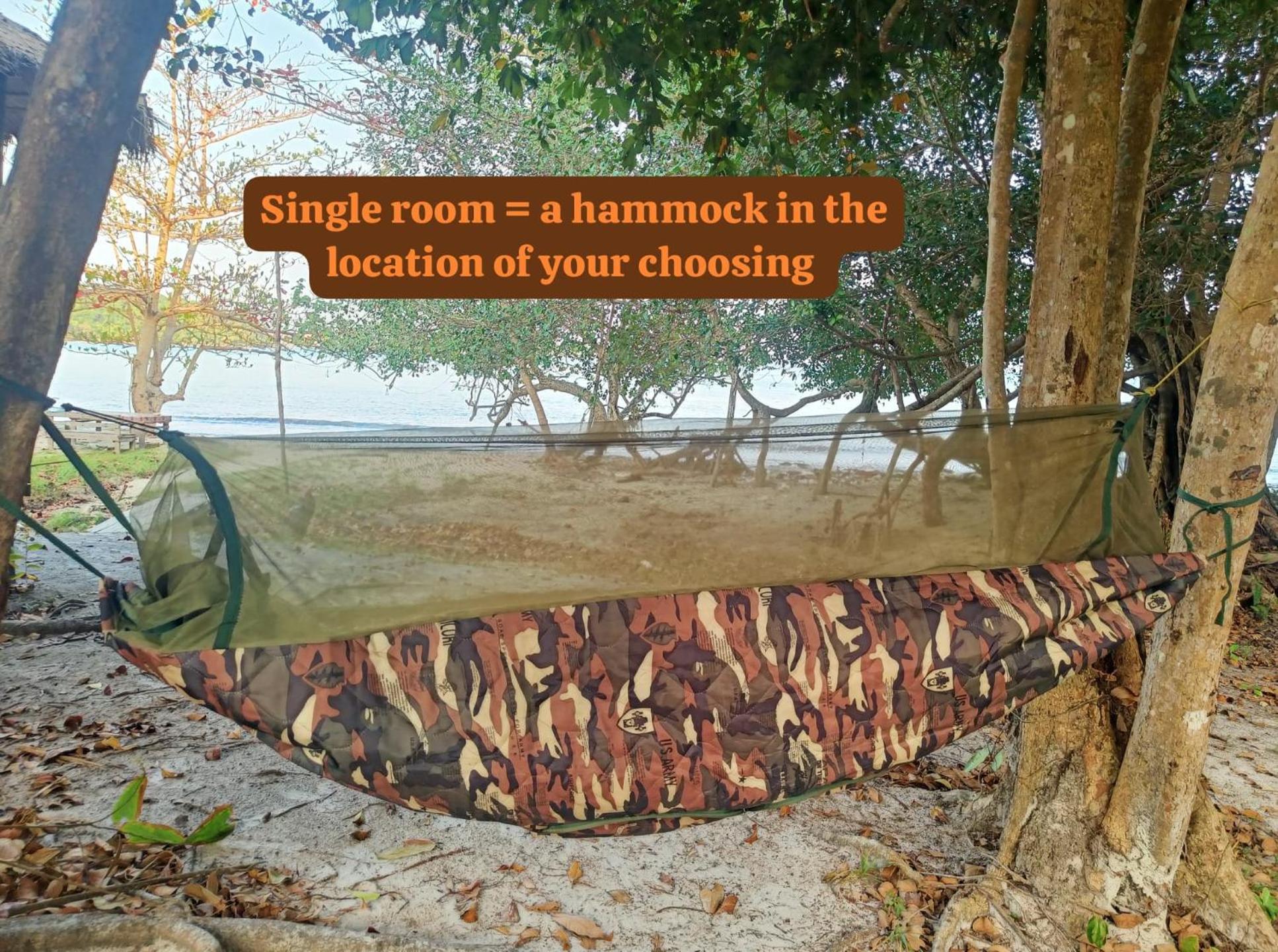 Photo 51