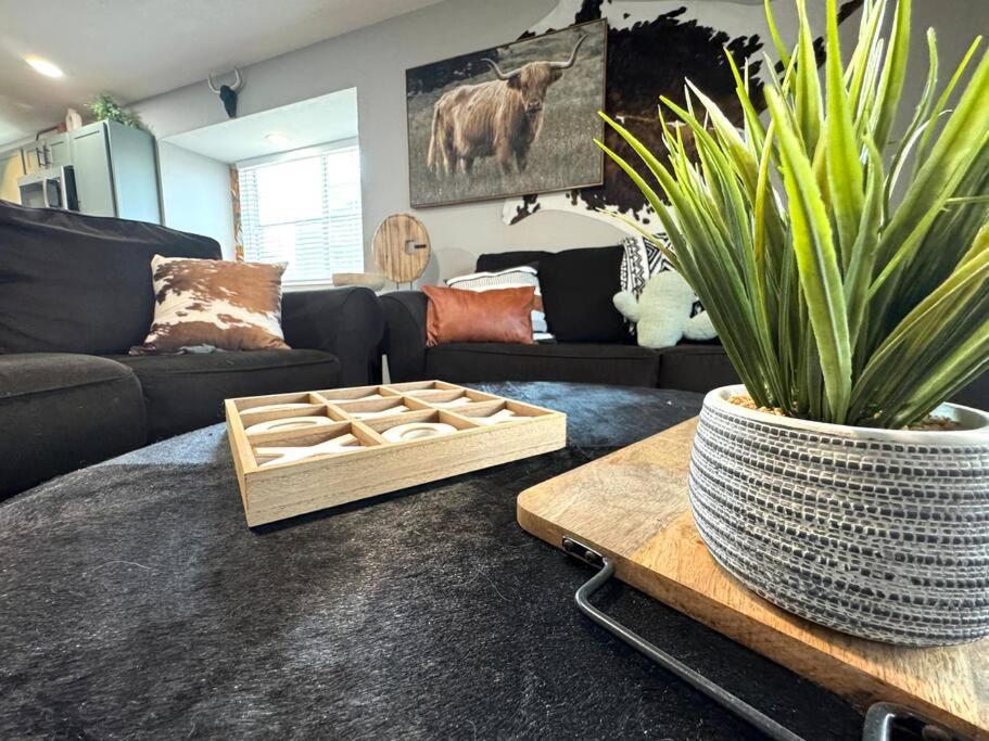 Modern Comfort: Updated Cozy Condo in Indian Point - Property Image 16