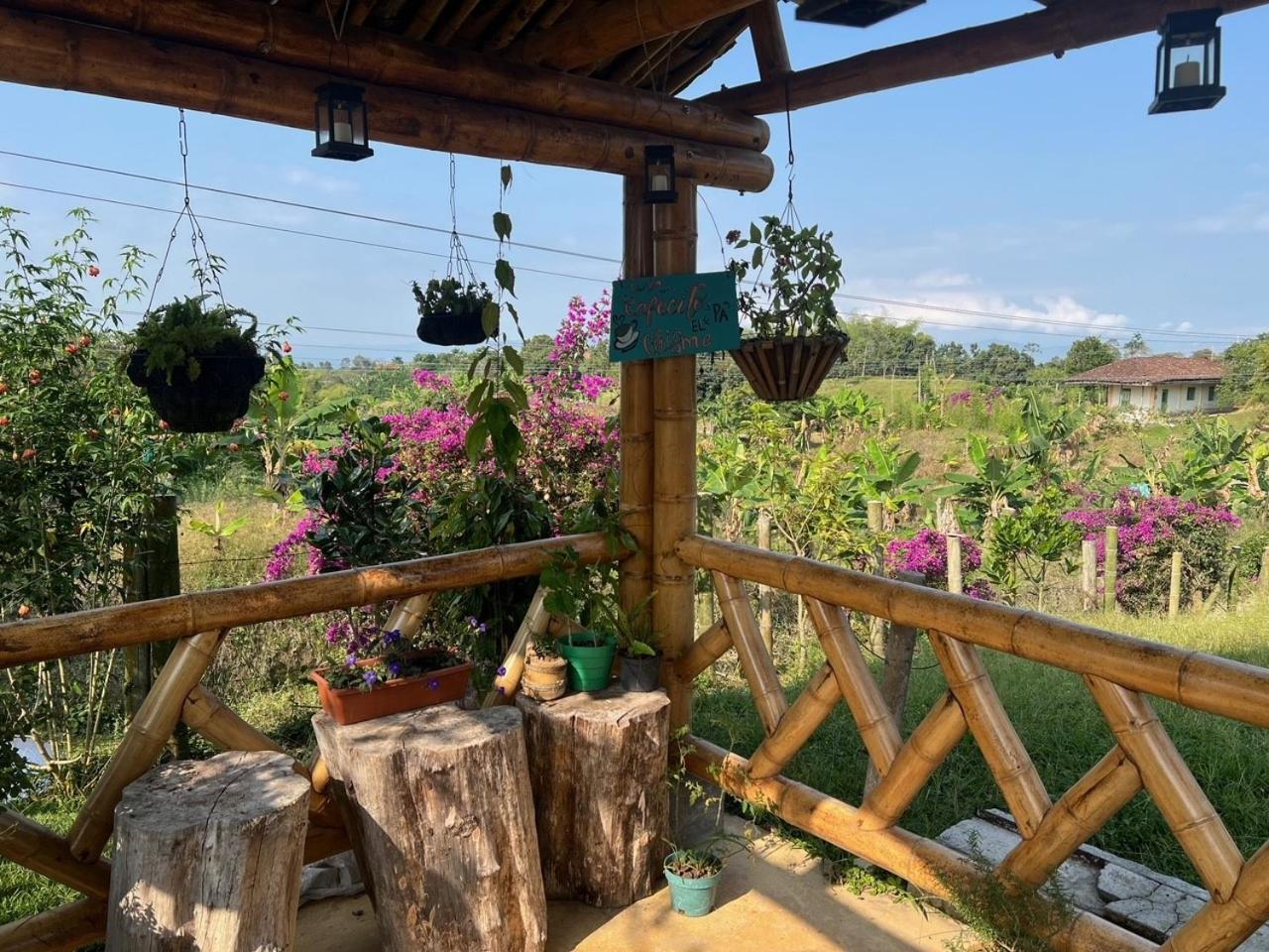 Finca Cafetera Madrigal - Café Sortiz