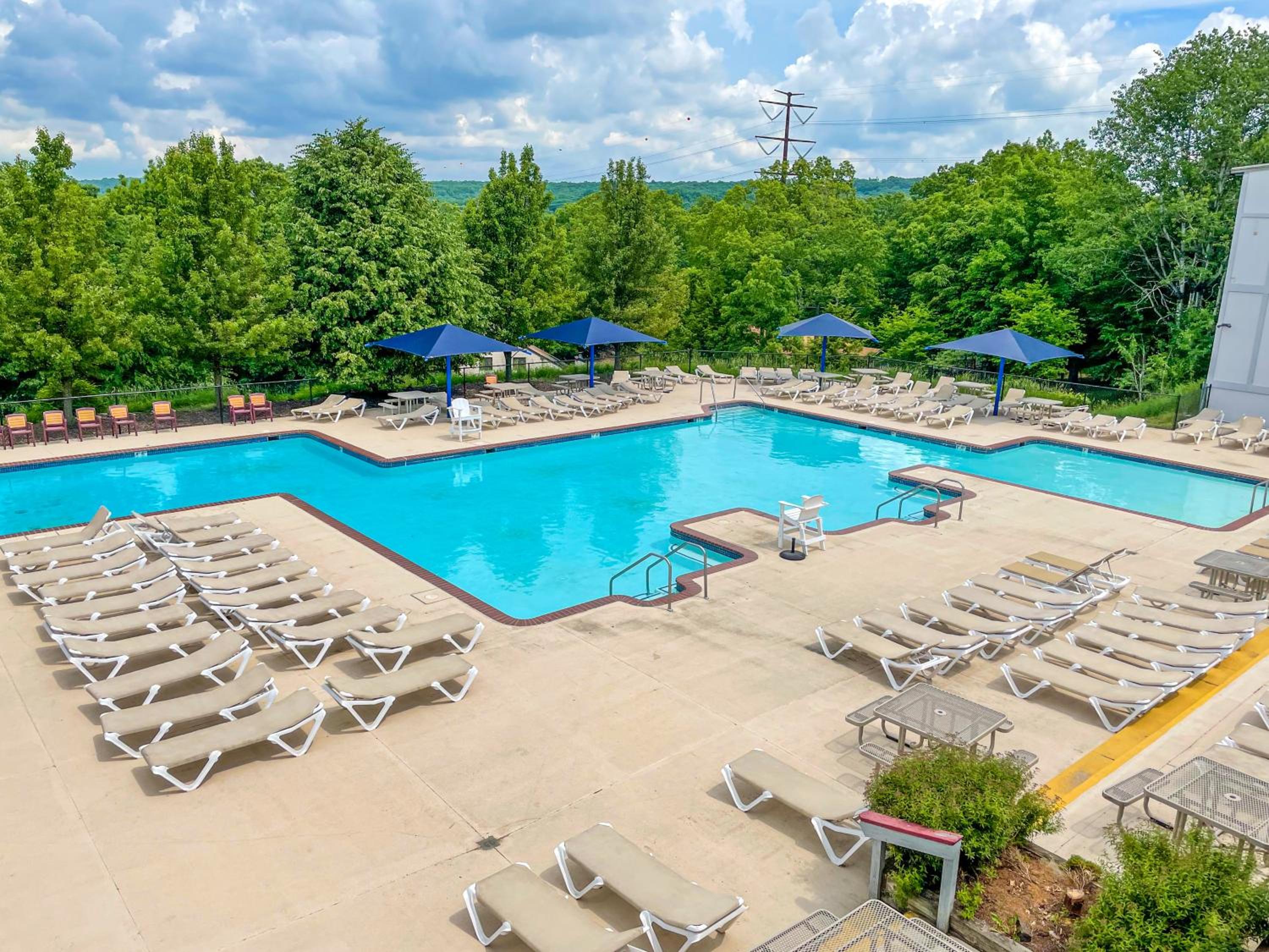 Van Gogh themed home-All Community Amenities Included! - Property Image 15