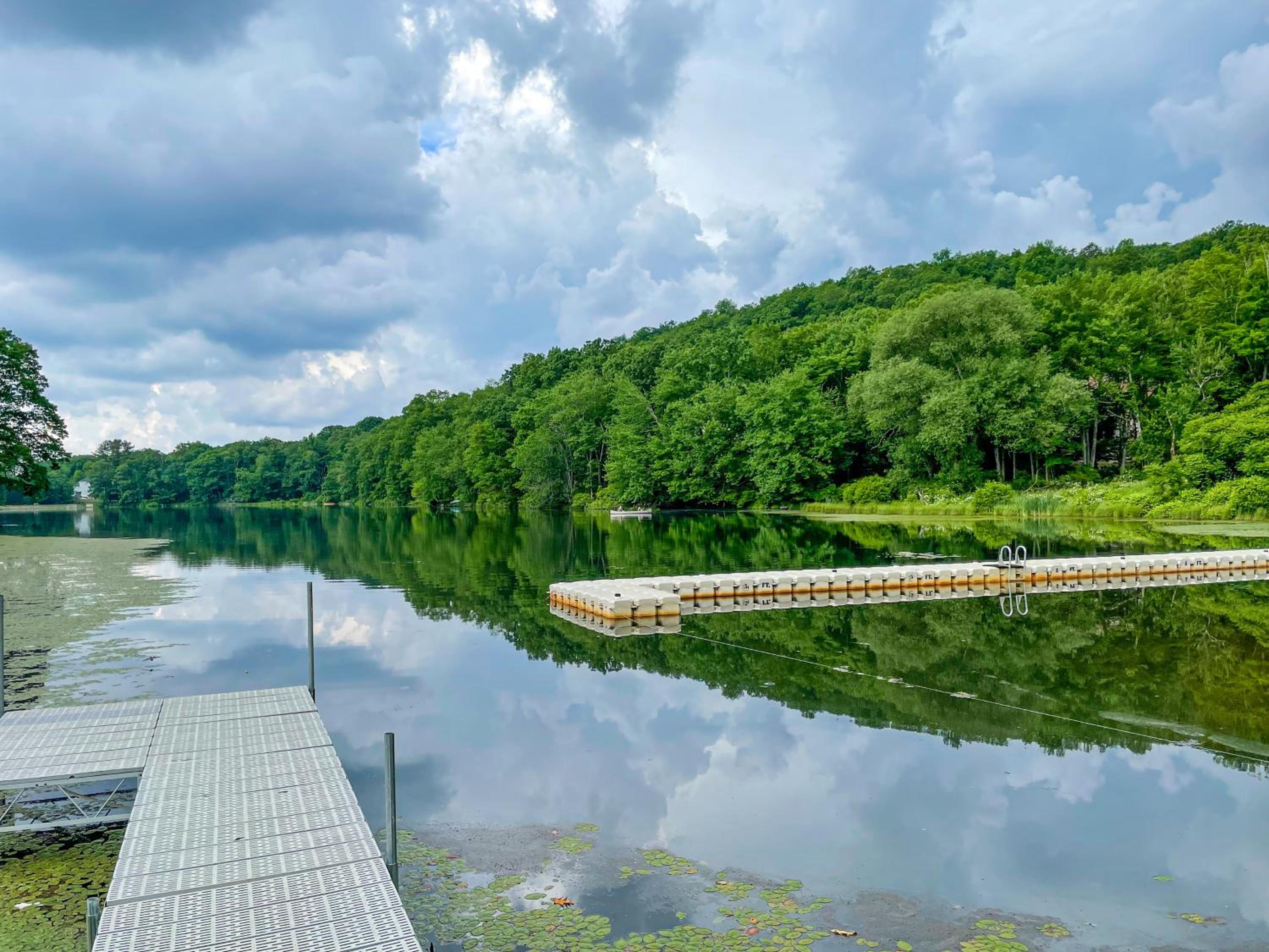 Van Gogh themed home-All Community Amenities Included! - Property Image 24