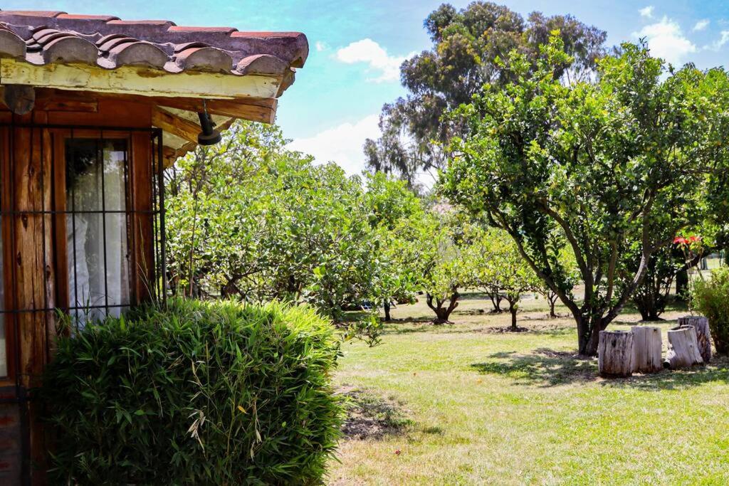 The Cabin Lodging
