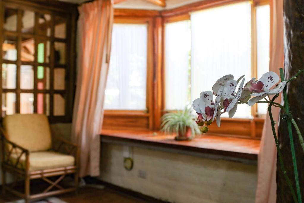 The Cabin Lodging
