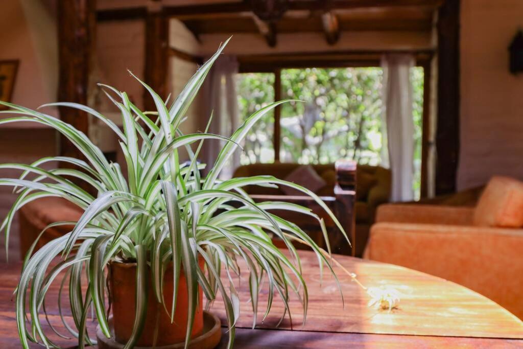 The Cabin Lodging