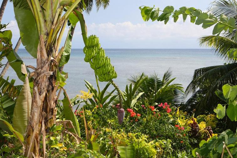 Coconut Grove Beachfront Resort