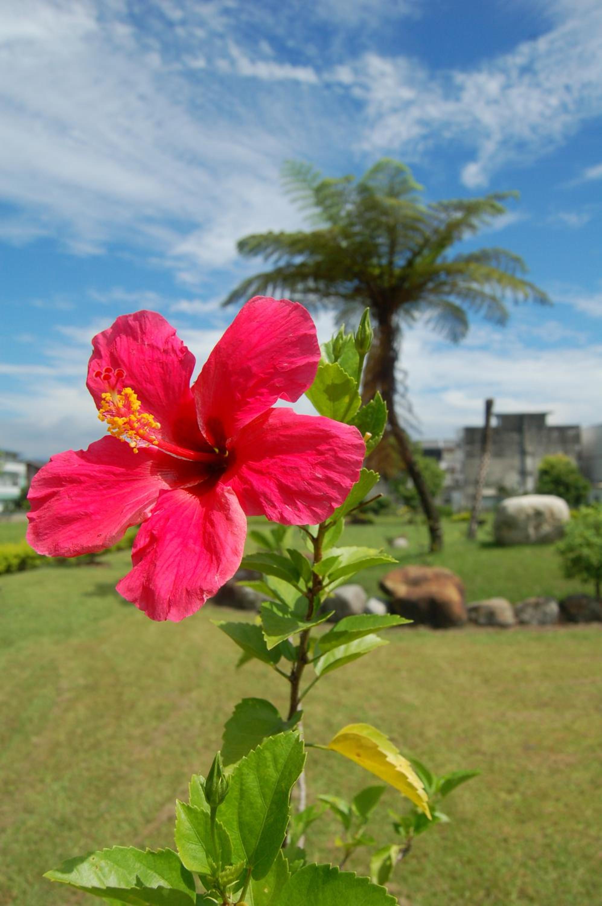 Jheng Tong House view 3