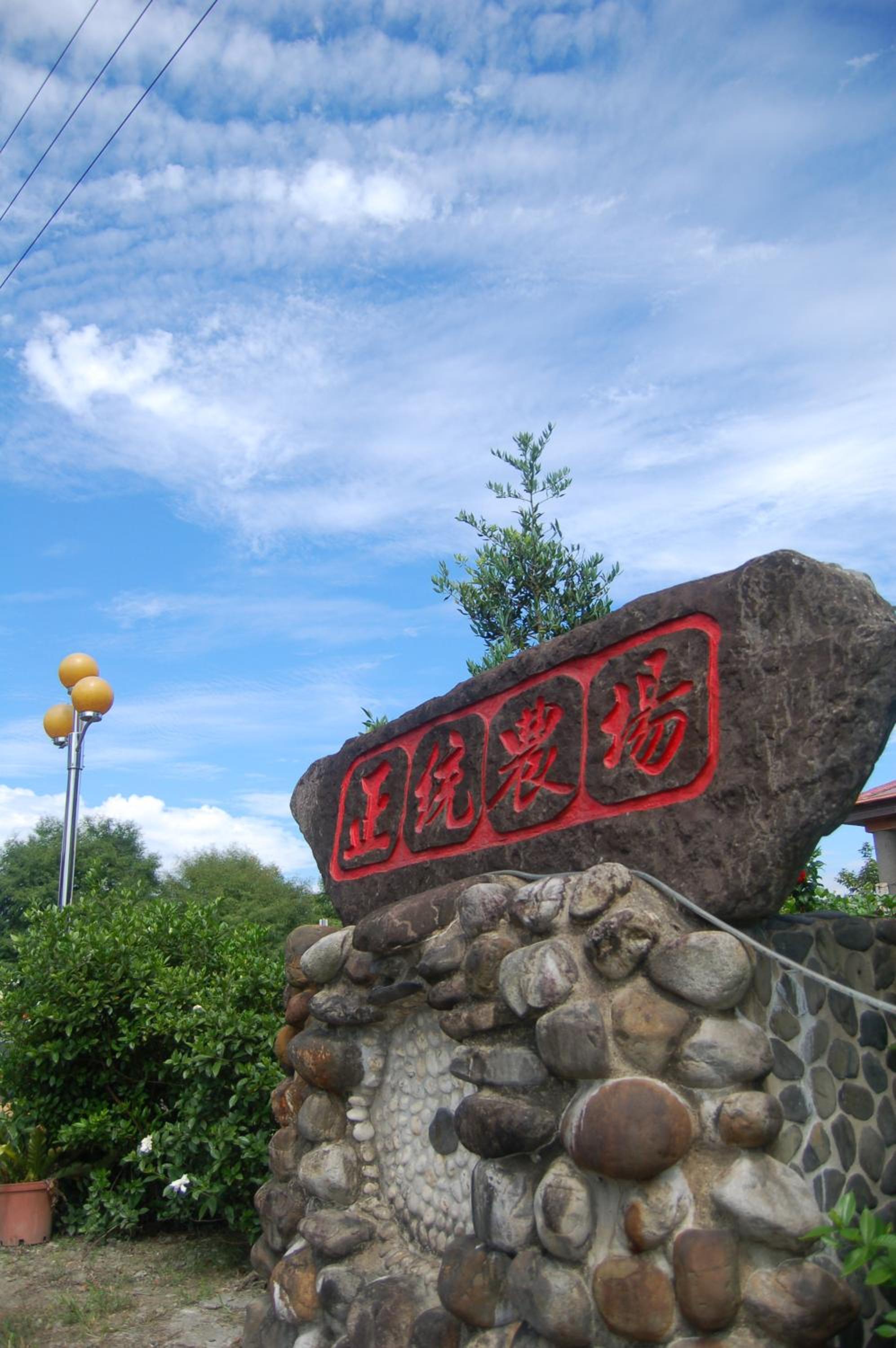 Photo 46