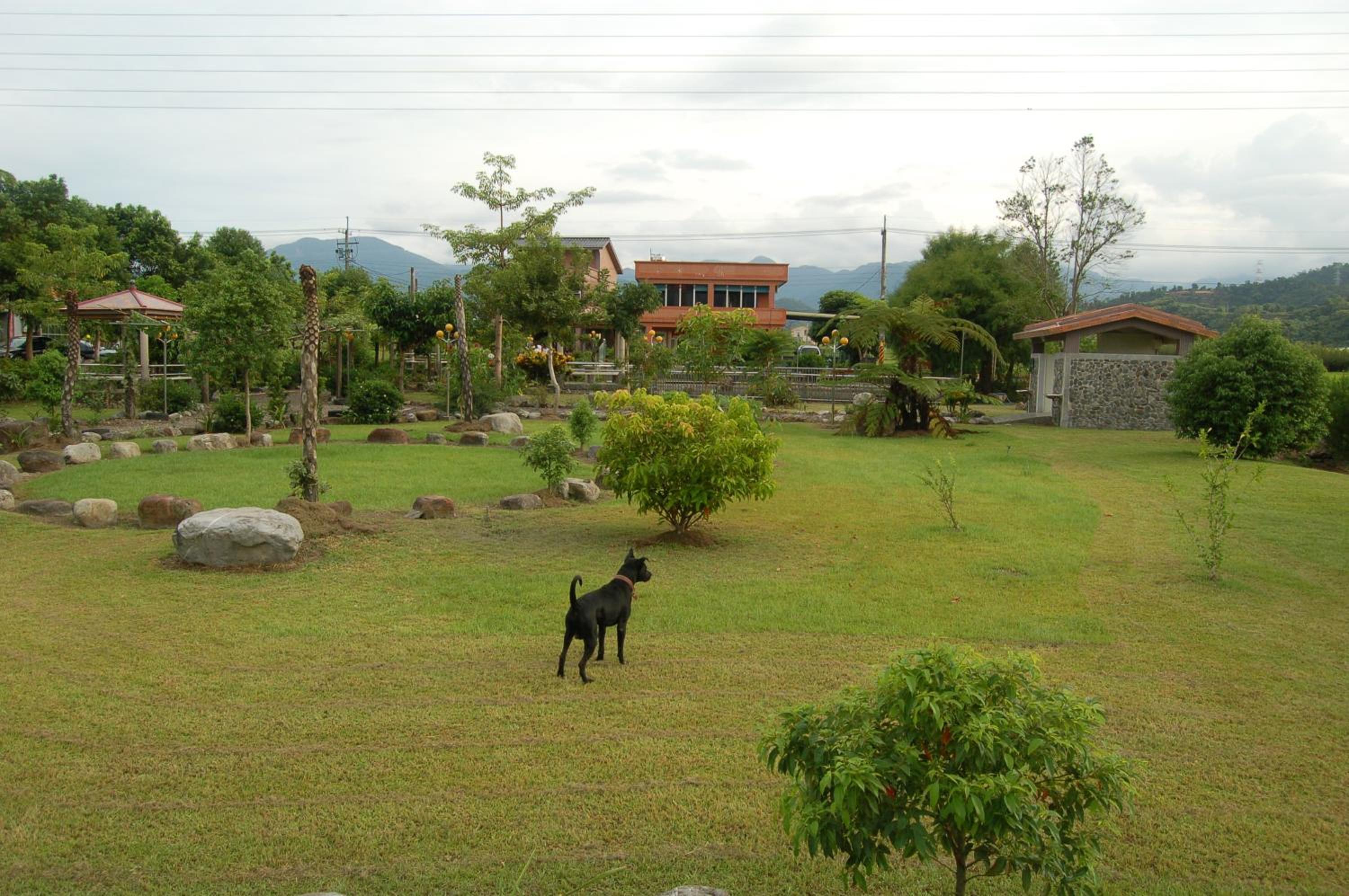 Photo 8