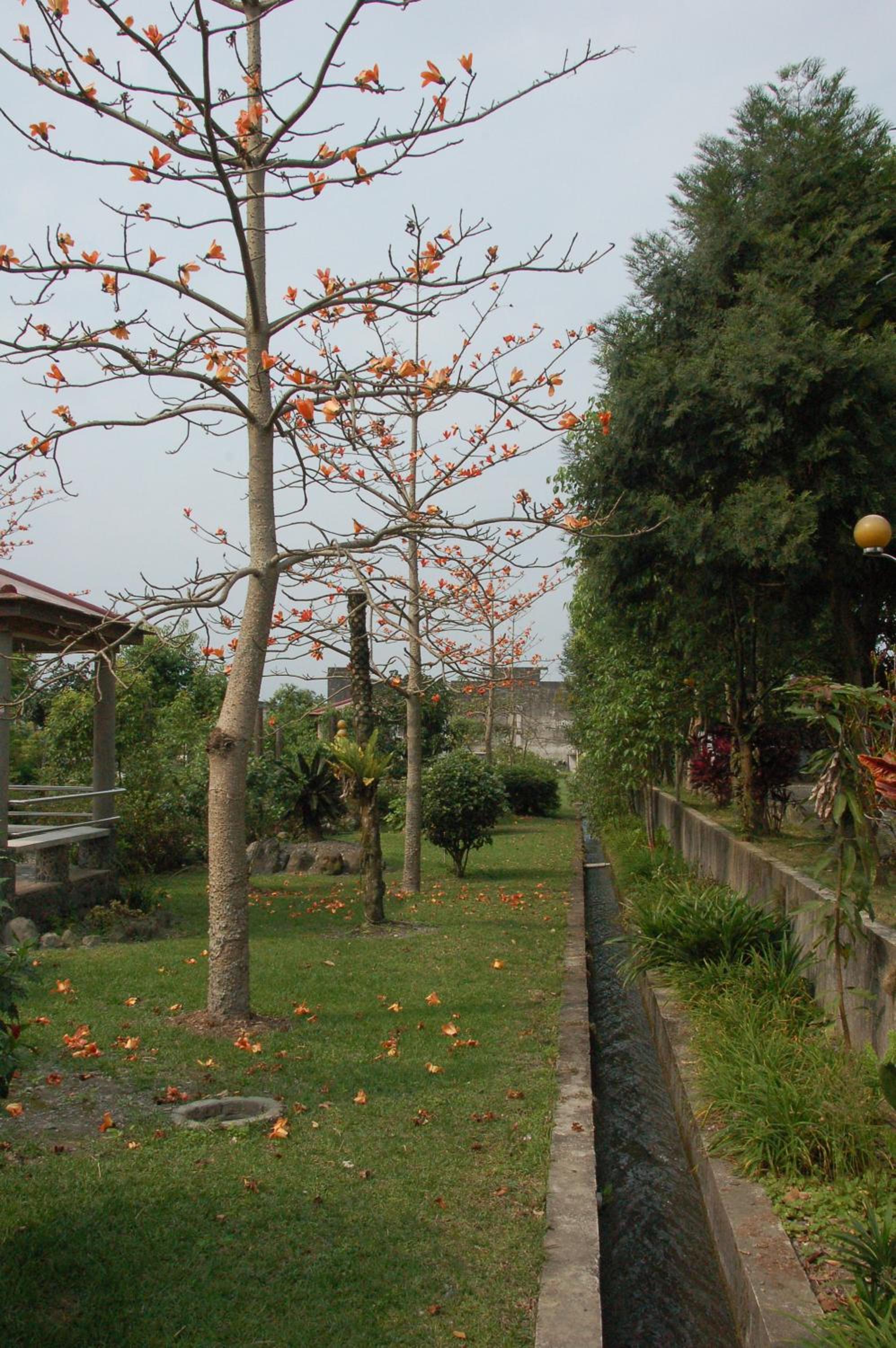 Jheng Tong House view 4