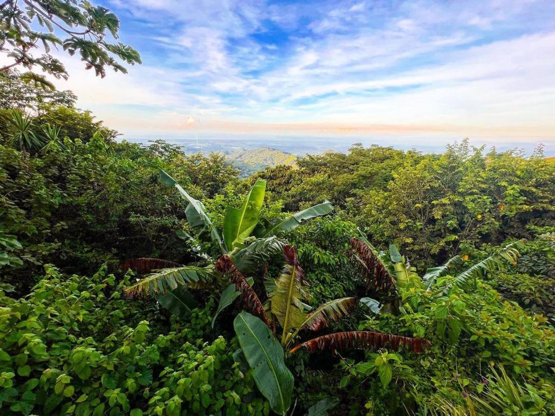 Domos Mirador Romantic Private Honeymoon Glamping