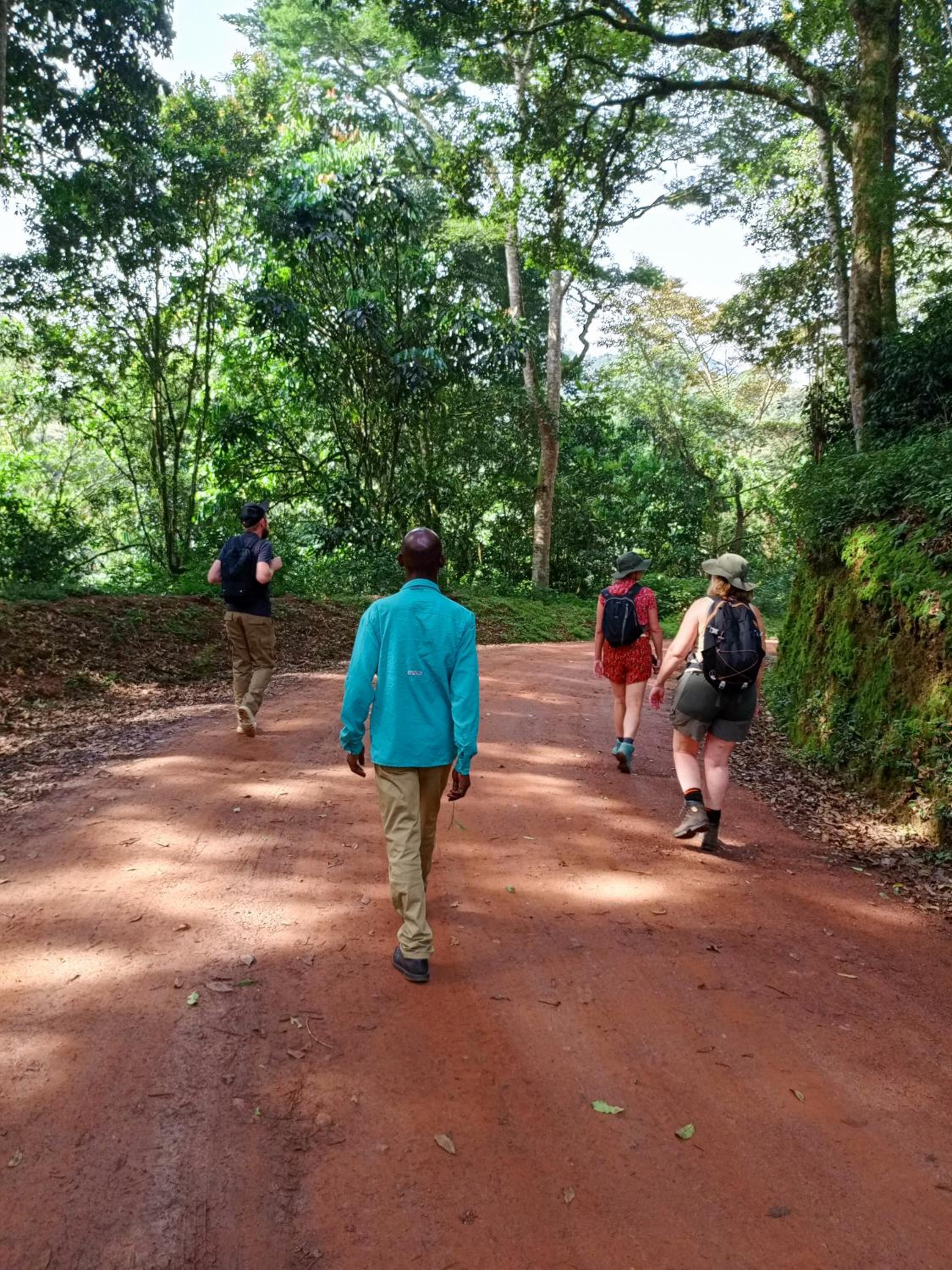 Bwindi Neckview Lodge