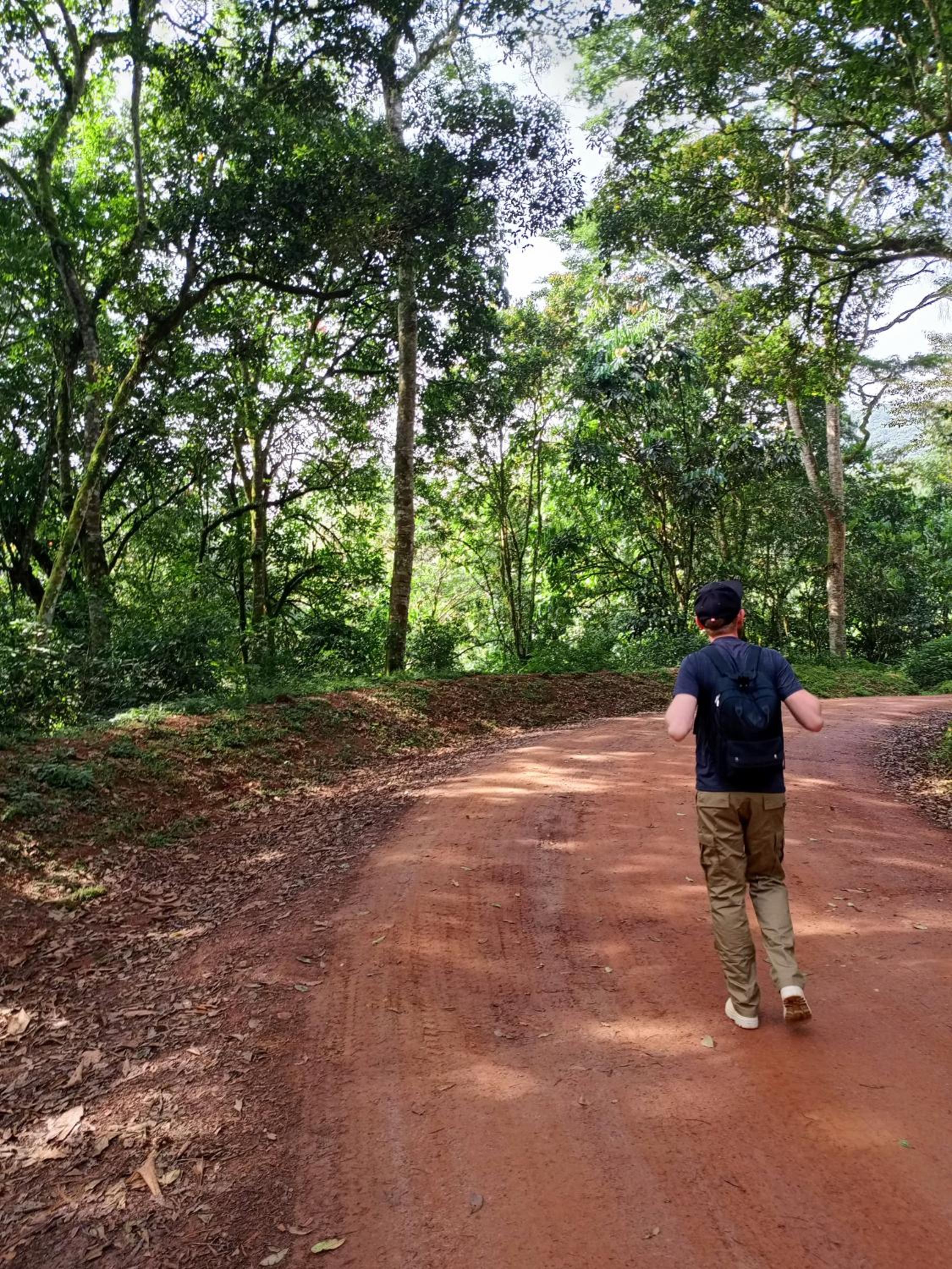 Bwindi Neckview Lodge