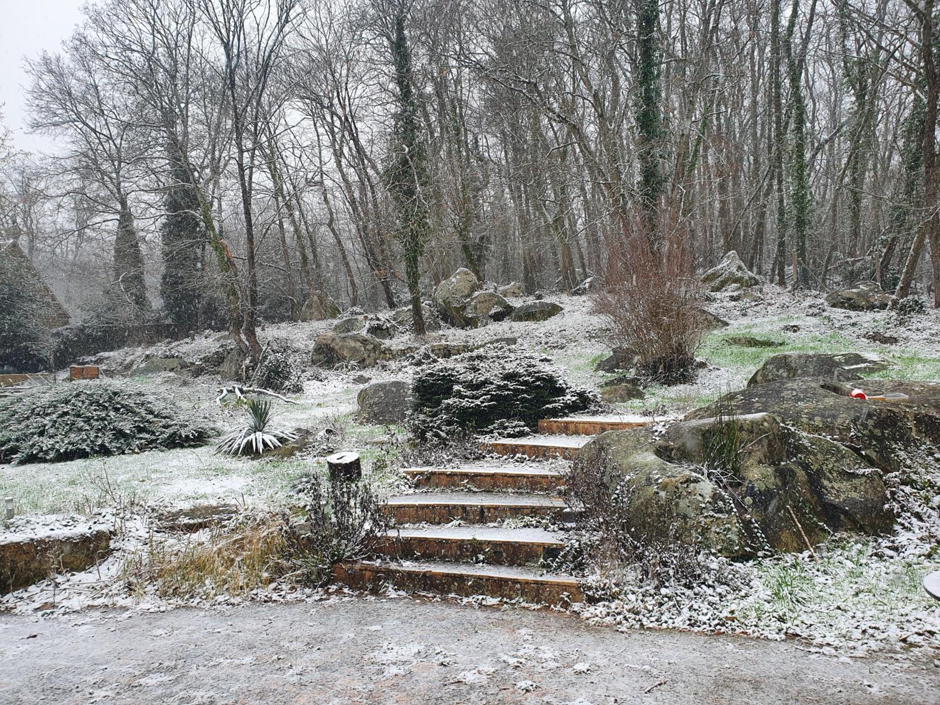 Photo 15