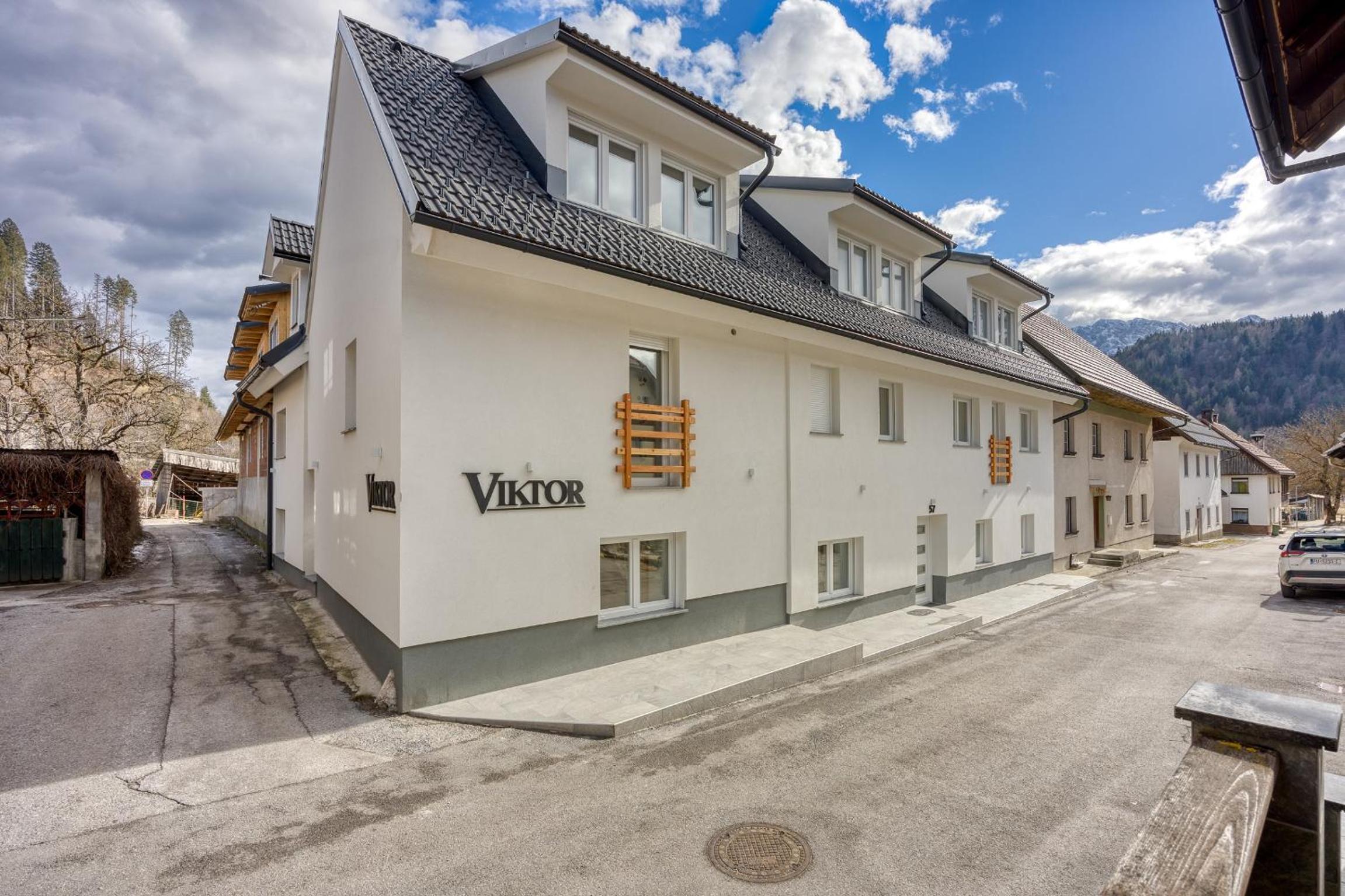 Apartments Viktor