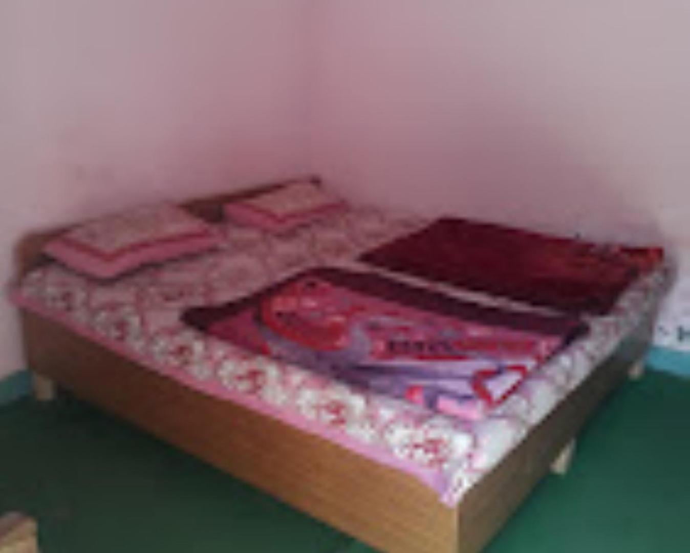 Hotel Mount Inn Badrinath Marg , Birahi , Chamoli