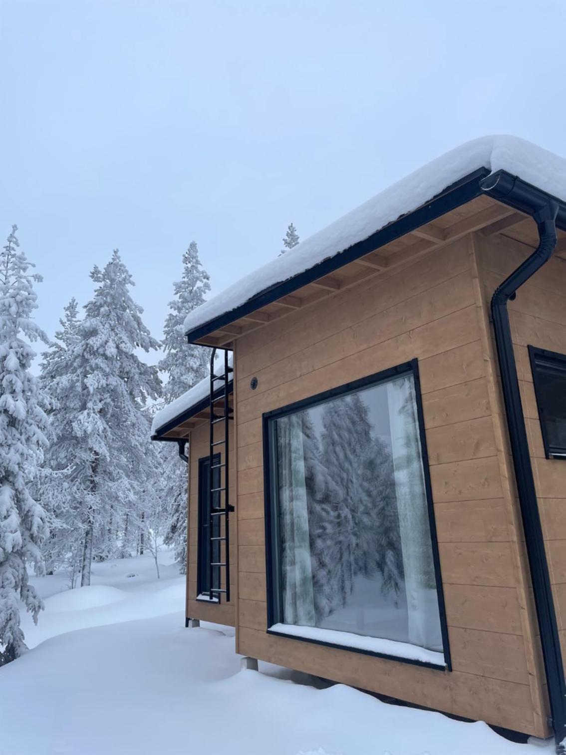 WALD Villas - Aavasaksa, Lapland view 4