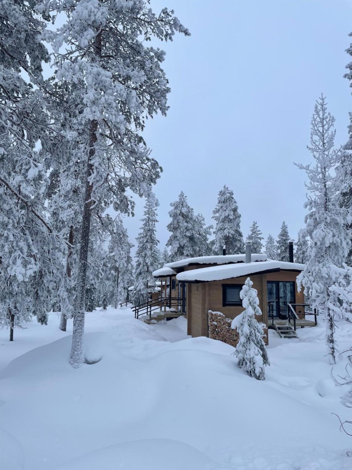 WALD Villas - Aavasaksa, Lapland view 2