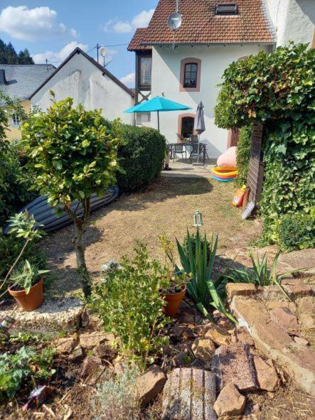 Eifel Duitsland fraai vakantiehuis met tuin