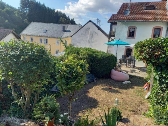 Eifel Duitsland fraai vakantiehuis met tuin