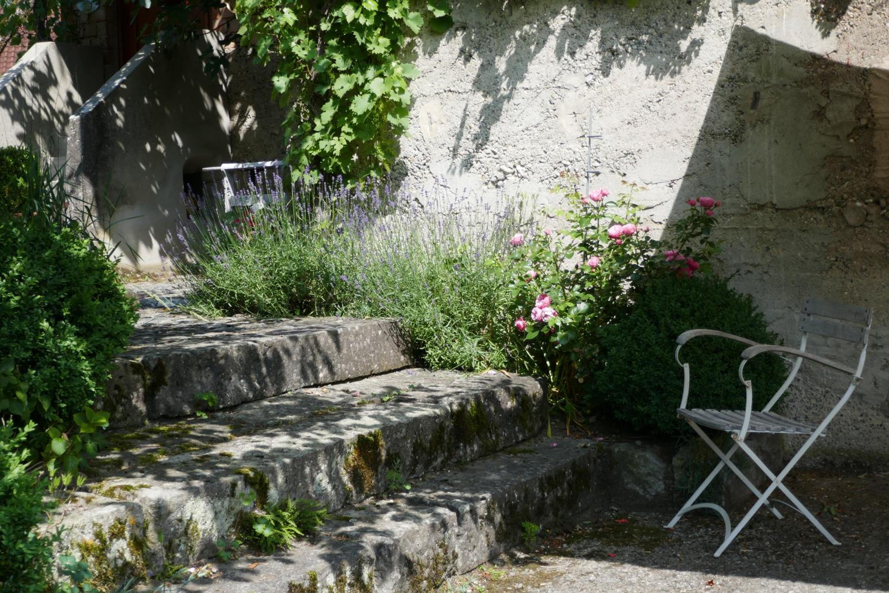 Ferienwohnung und Ferienhaus Zur Weilermühle
