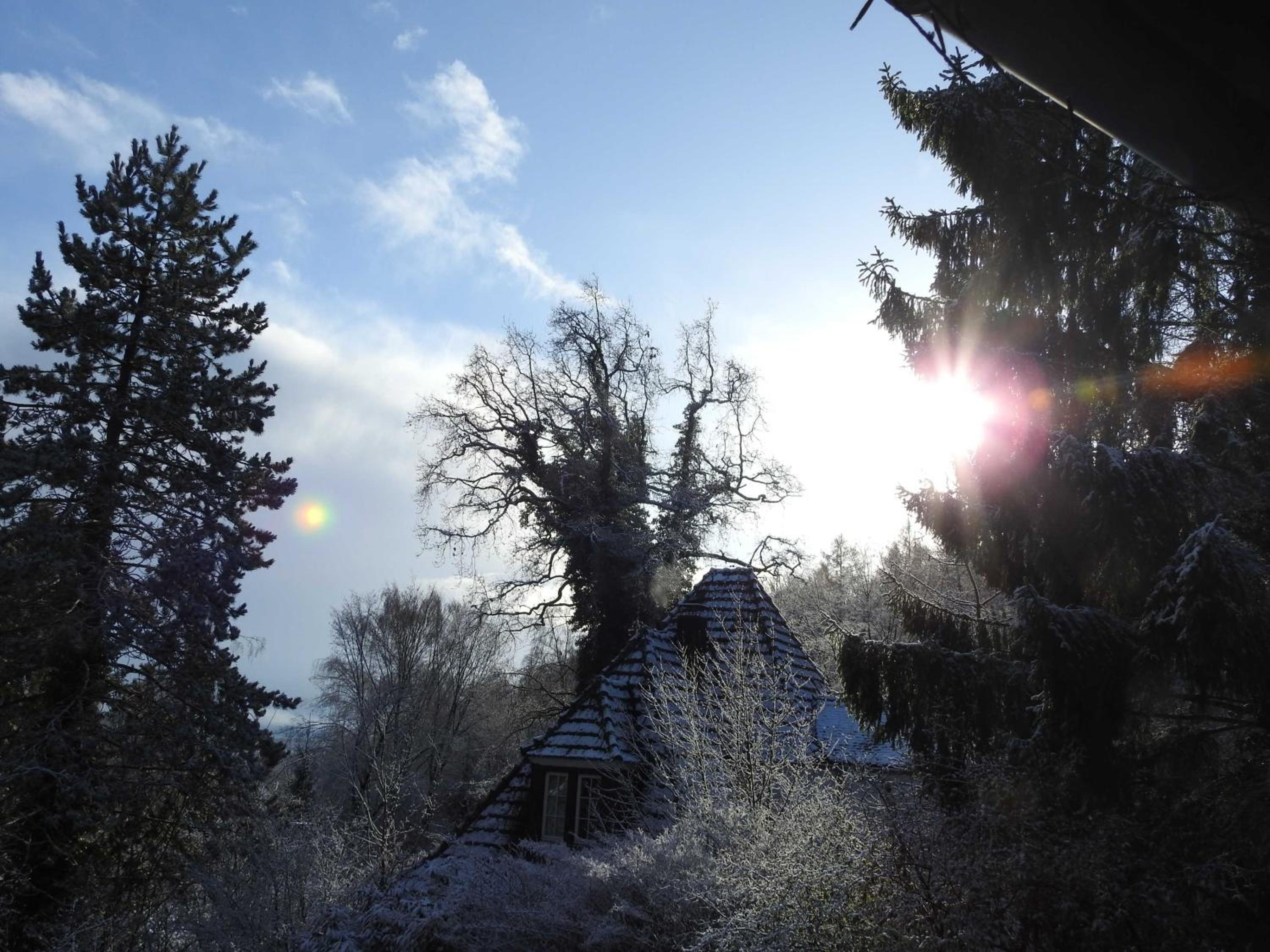 Wohnen im Wald