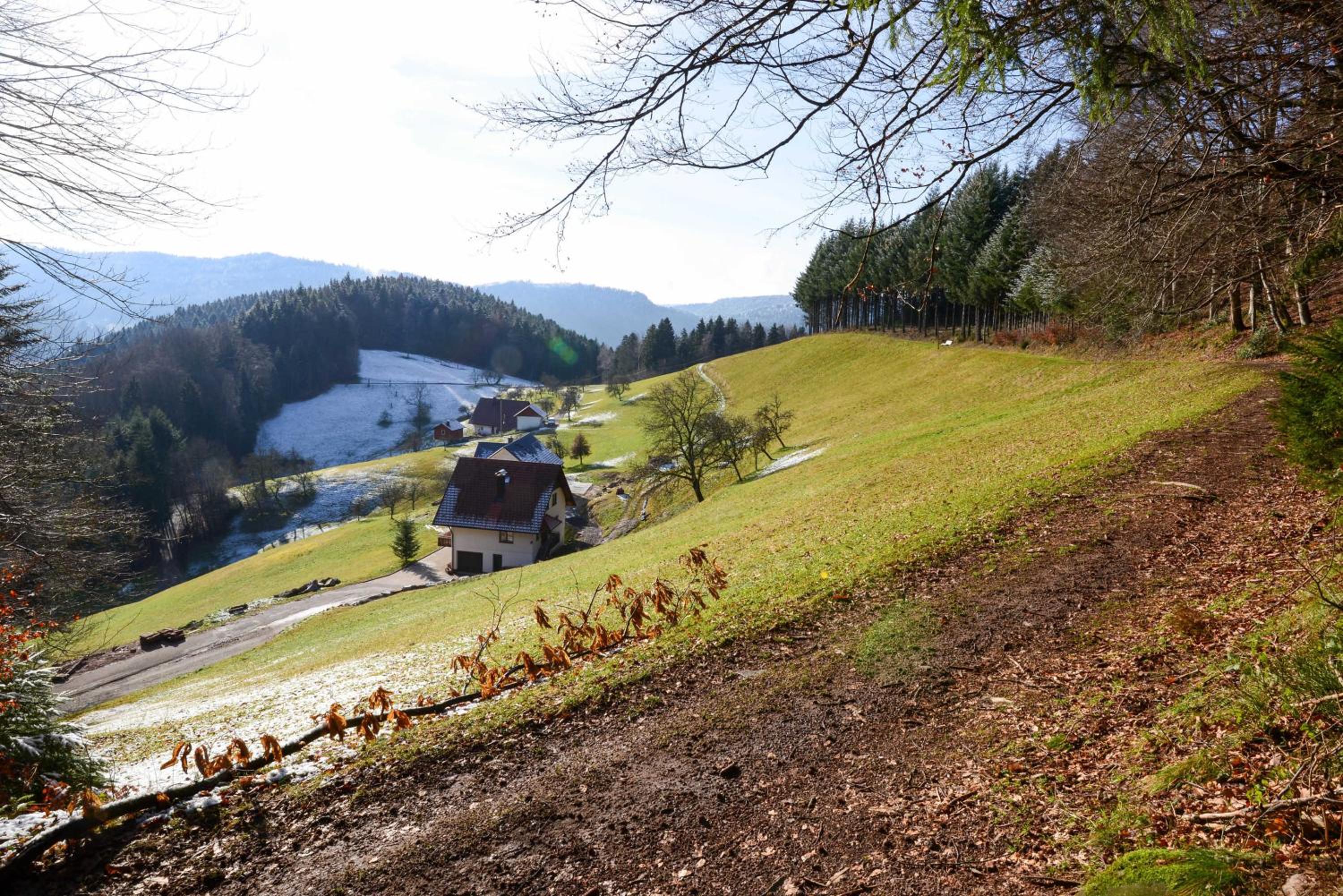 Ferienwohnung Fürstenkopf